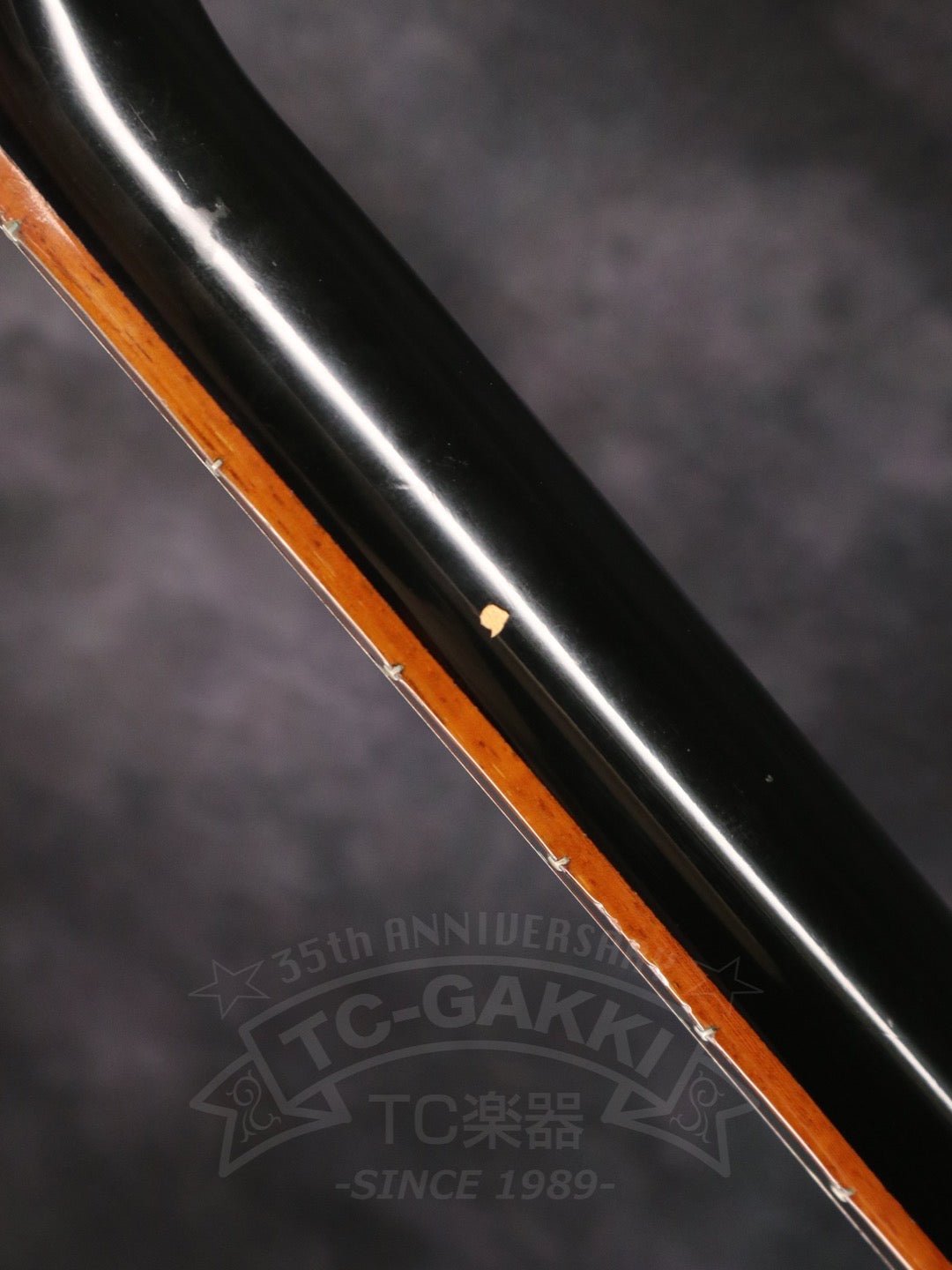 Rickenbacker 325v63 - TC楽器 - TCGAKKI