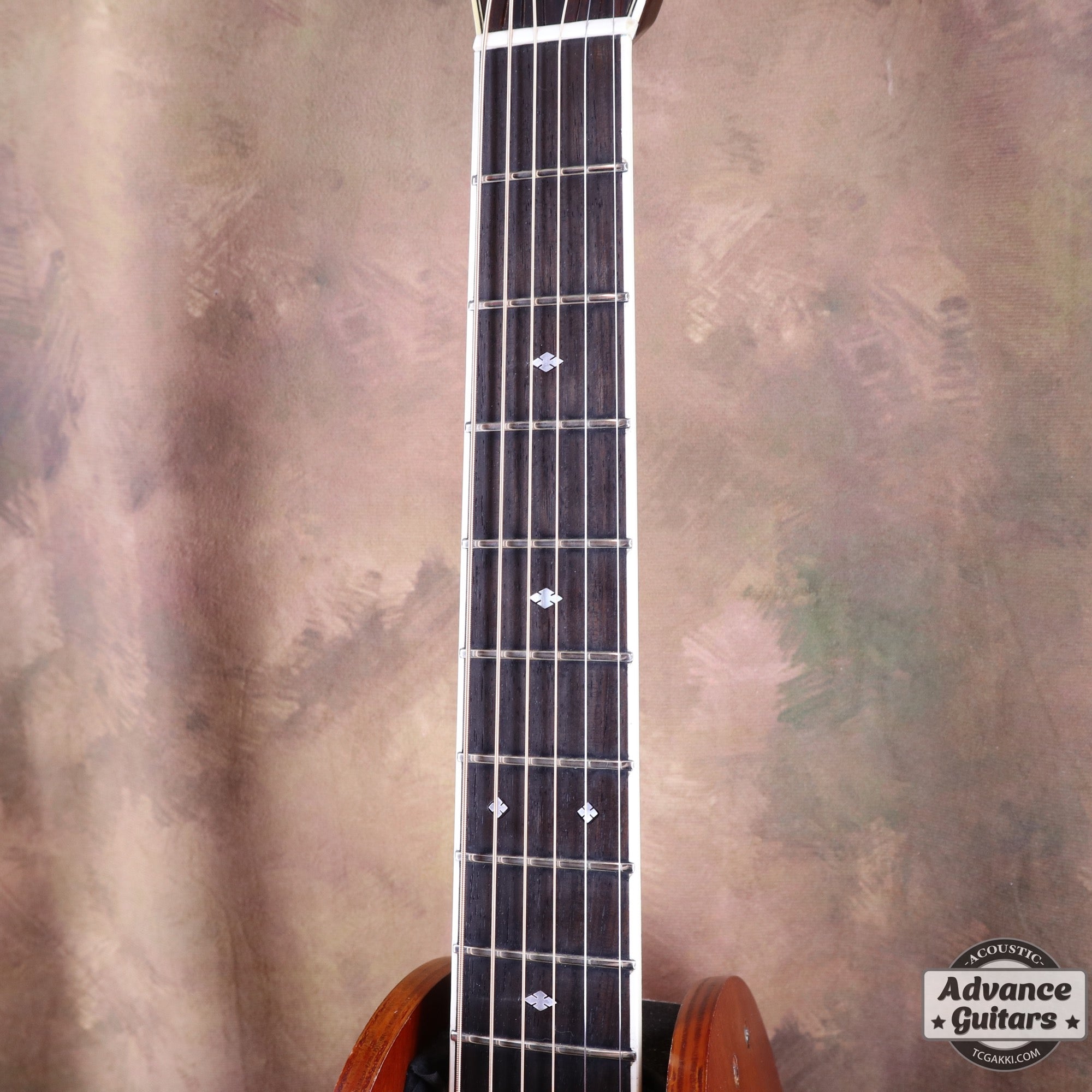 Rider R - 600 - TC楽器 - TCGAKKI