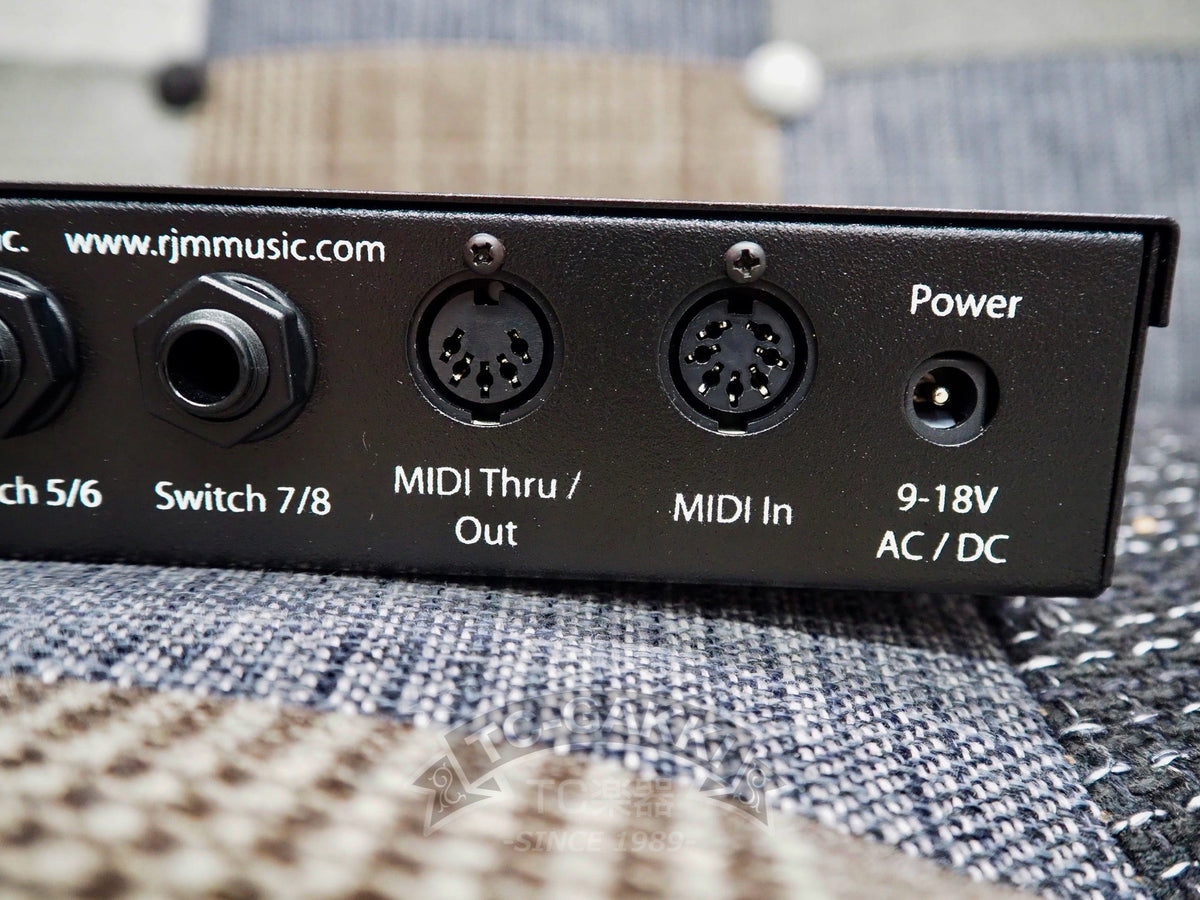 rjm Amp Gizmo - TC楽器 - TCGAKKI