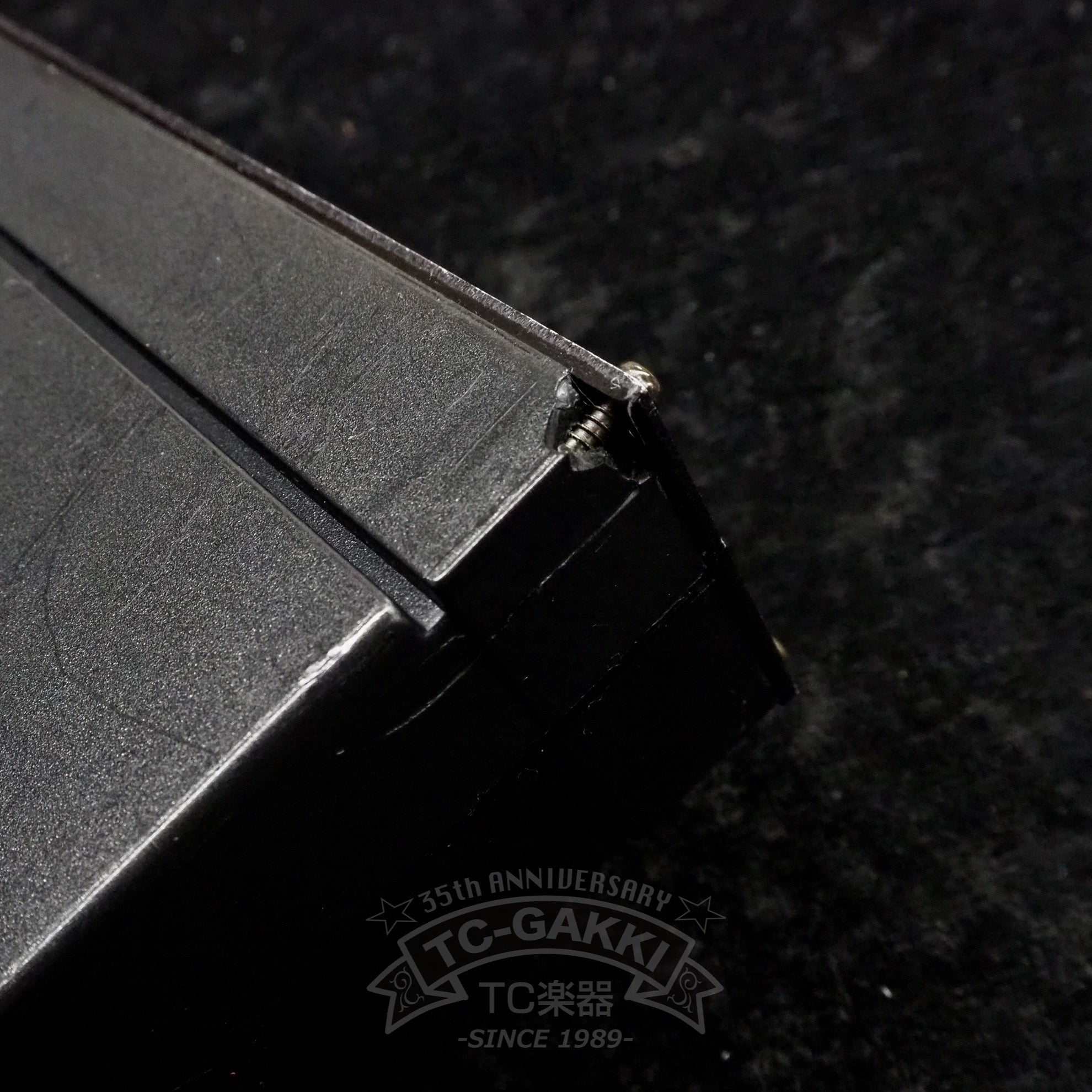 ROCKMAN STEREO CHORUS / DELAY MODEL 100A - TC楽器 - TCGAKKI