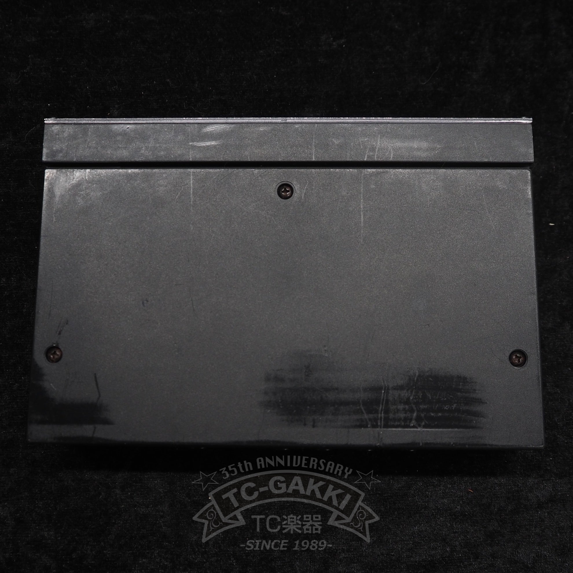 ROCKMAN STEREO ECHO MODEL 100 - TC楽器 - TCGAKKI
