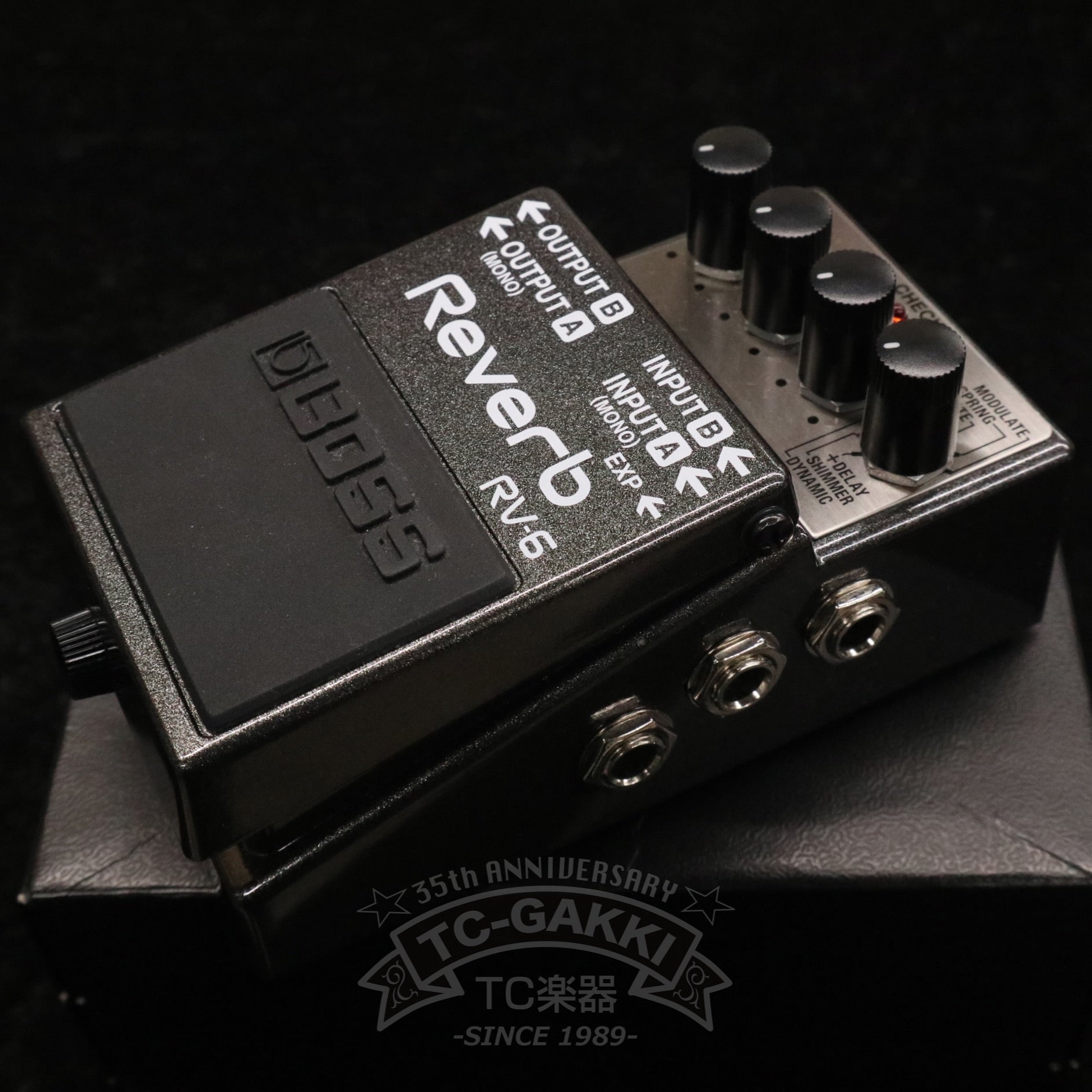 RV - 6 Reverb - TC楽器 - TCGAKKI