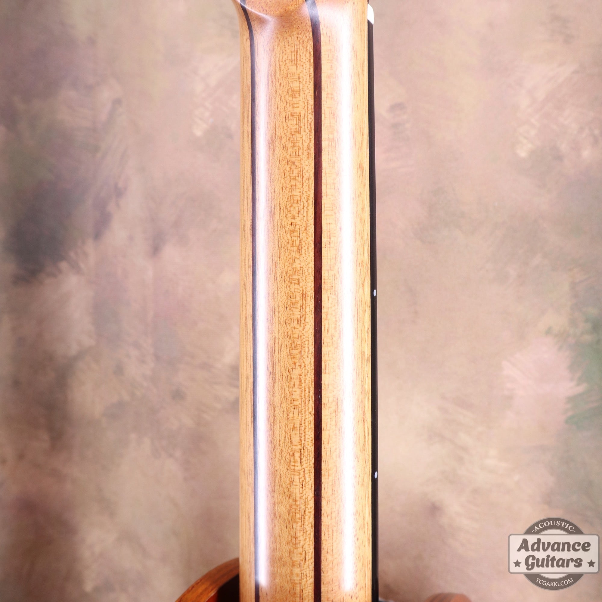 S - 32C - TC楽器 - TCGAKKI