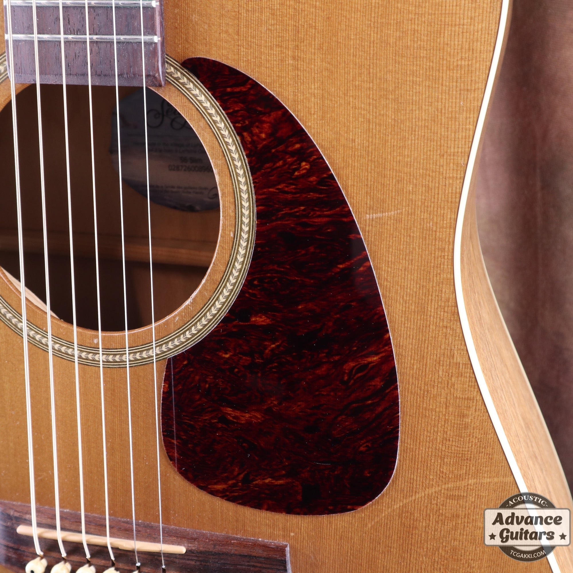 S6 Slim - TC楽器 - TCGAKKI