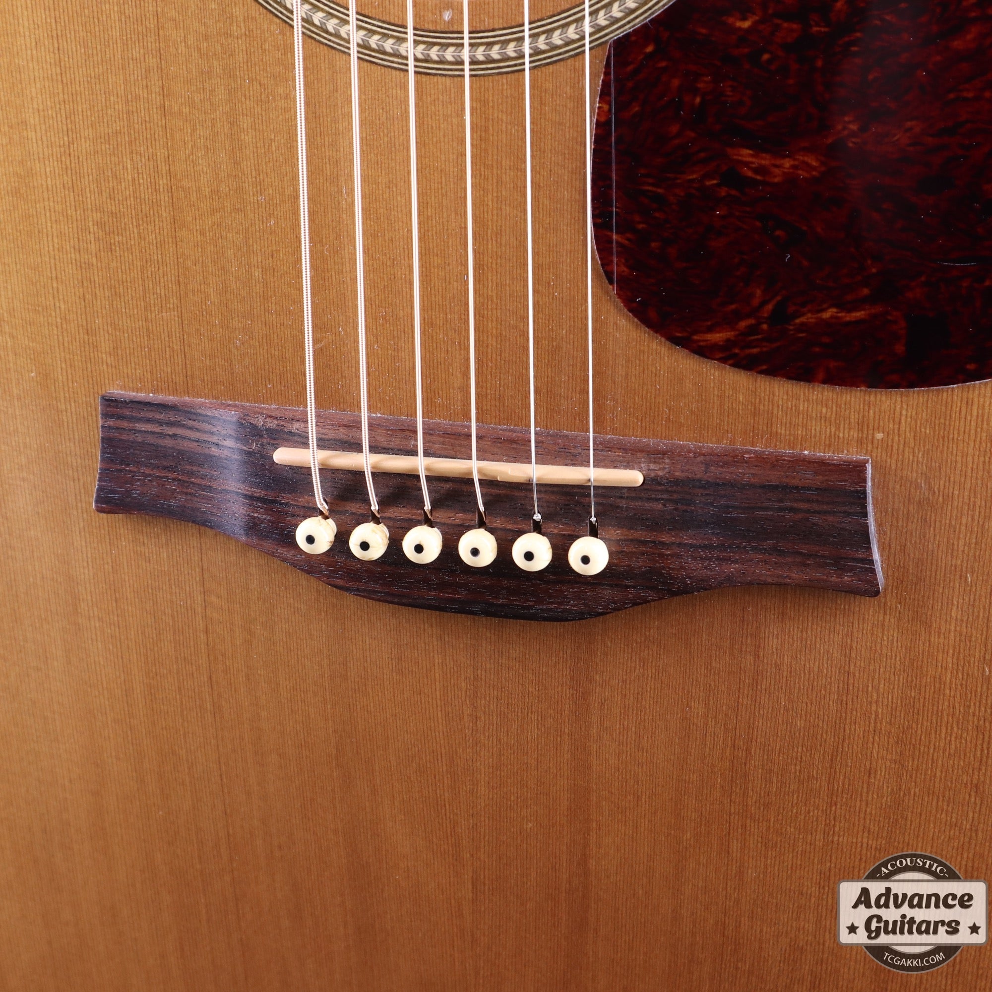 S6 Slim - TC楽器 - TCGAKKI