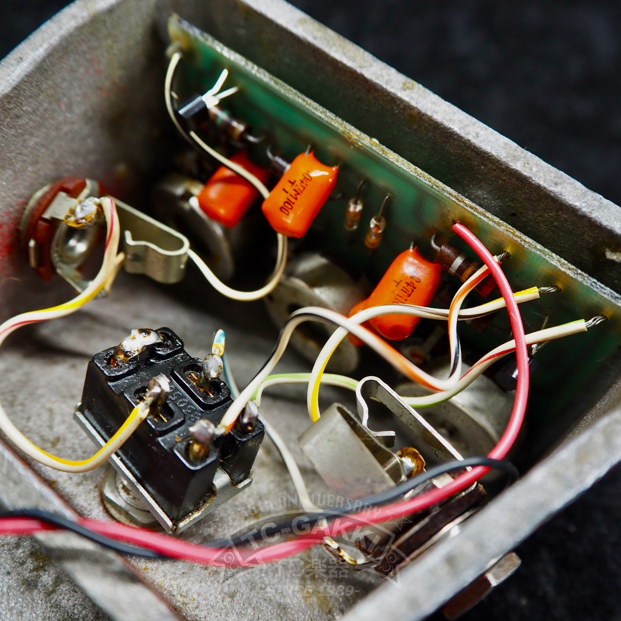 SAM ASH MUSIC FUZZZ BOXX - TC楽器 - TCGAKKI