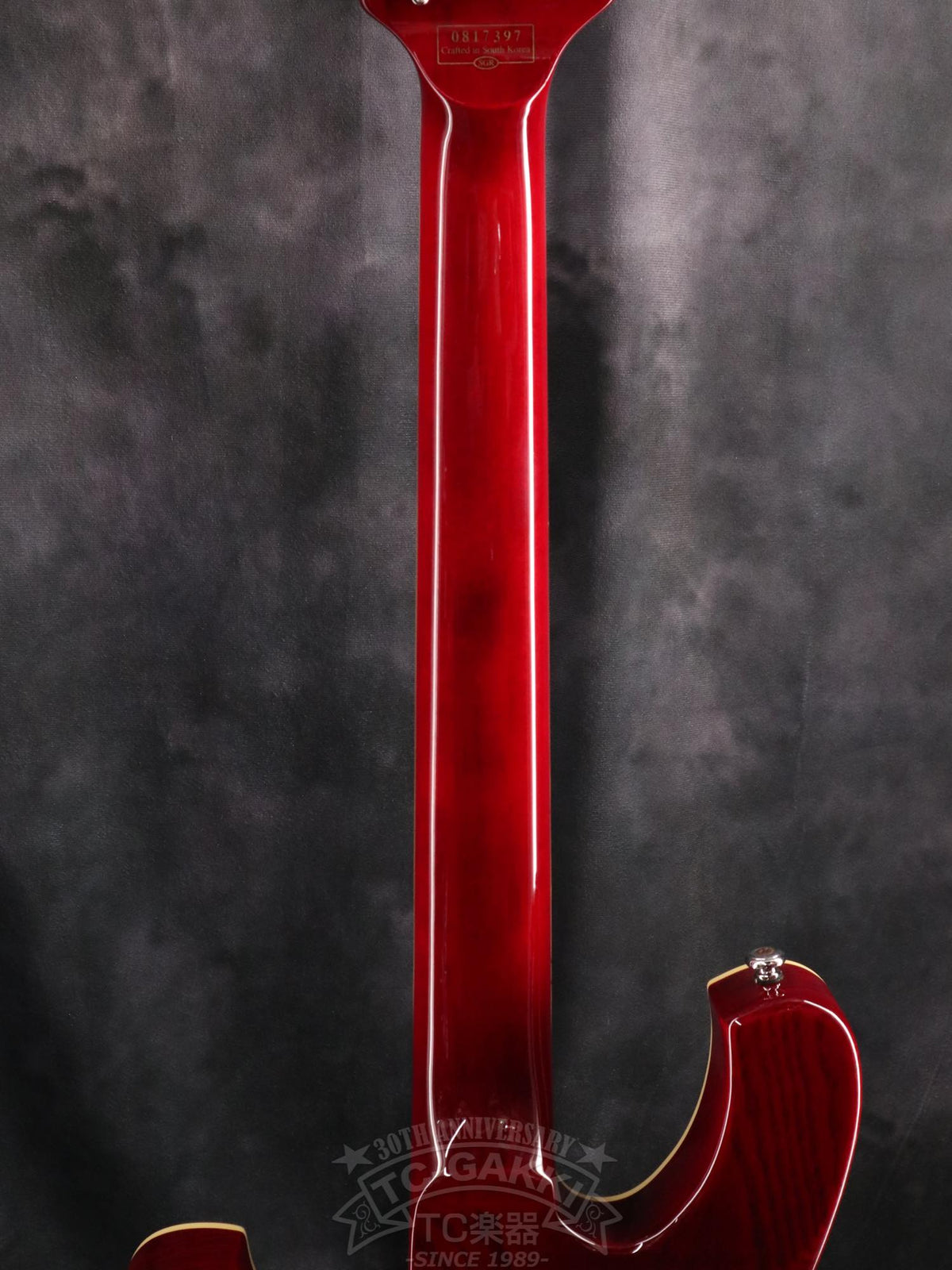 Schecter Stargazer AD-SGZ-6 - TC楽器 - TCGAKKI