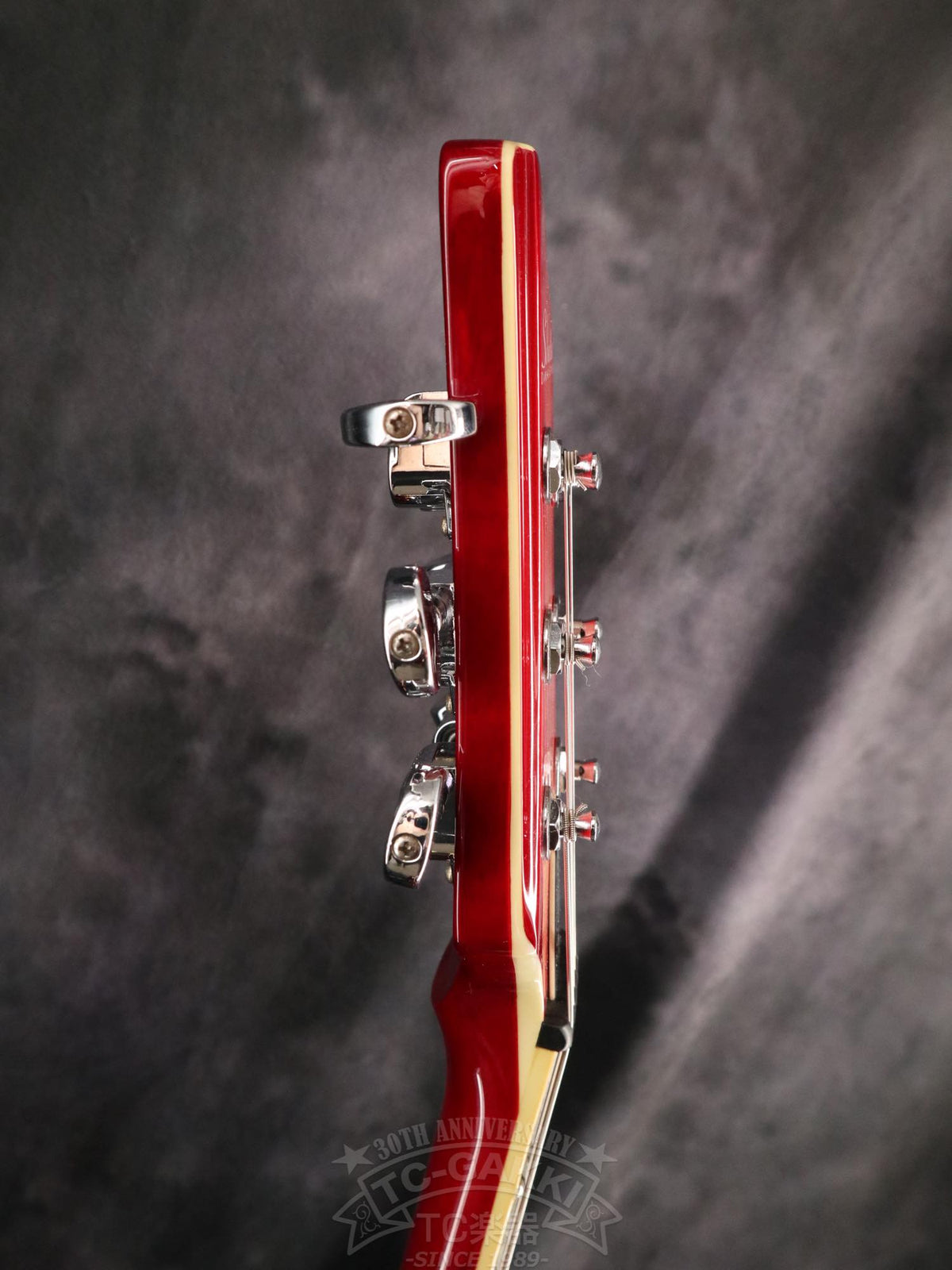 Schecter Stargazer AD-SGZ-6 - TC楽器 - TCGAKKI