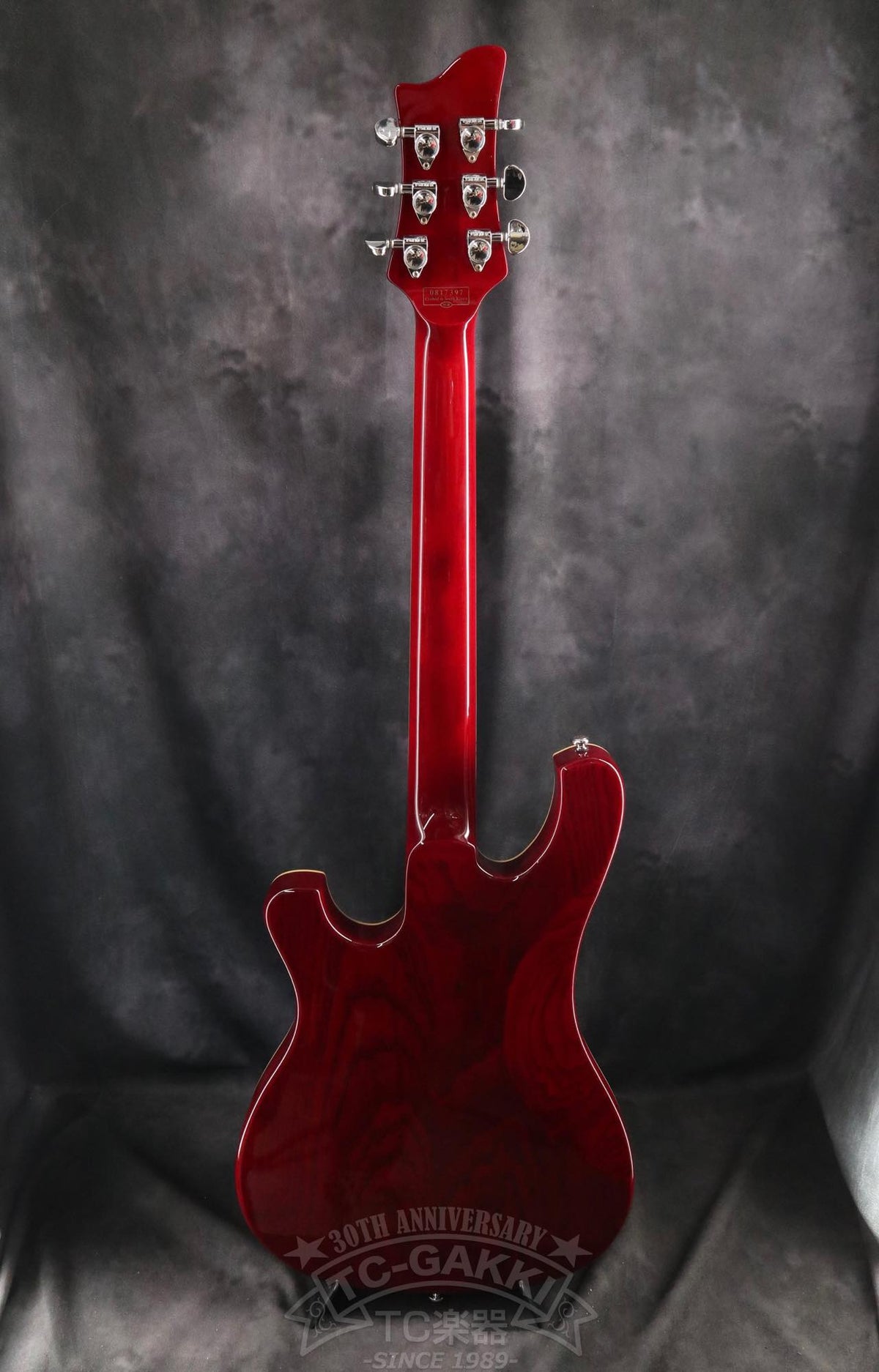 Schecter Stargazer AD-SGZ-6 - TC楽器 - TCGAKKI