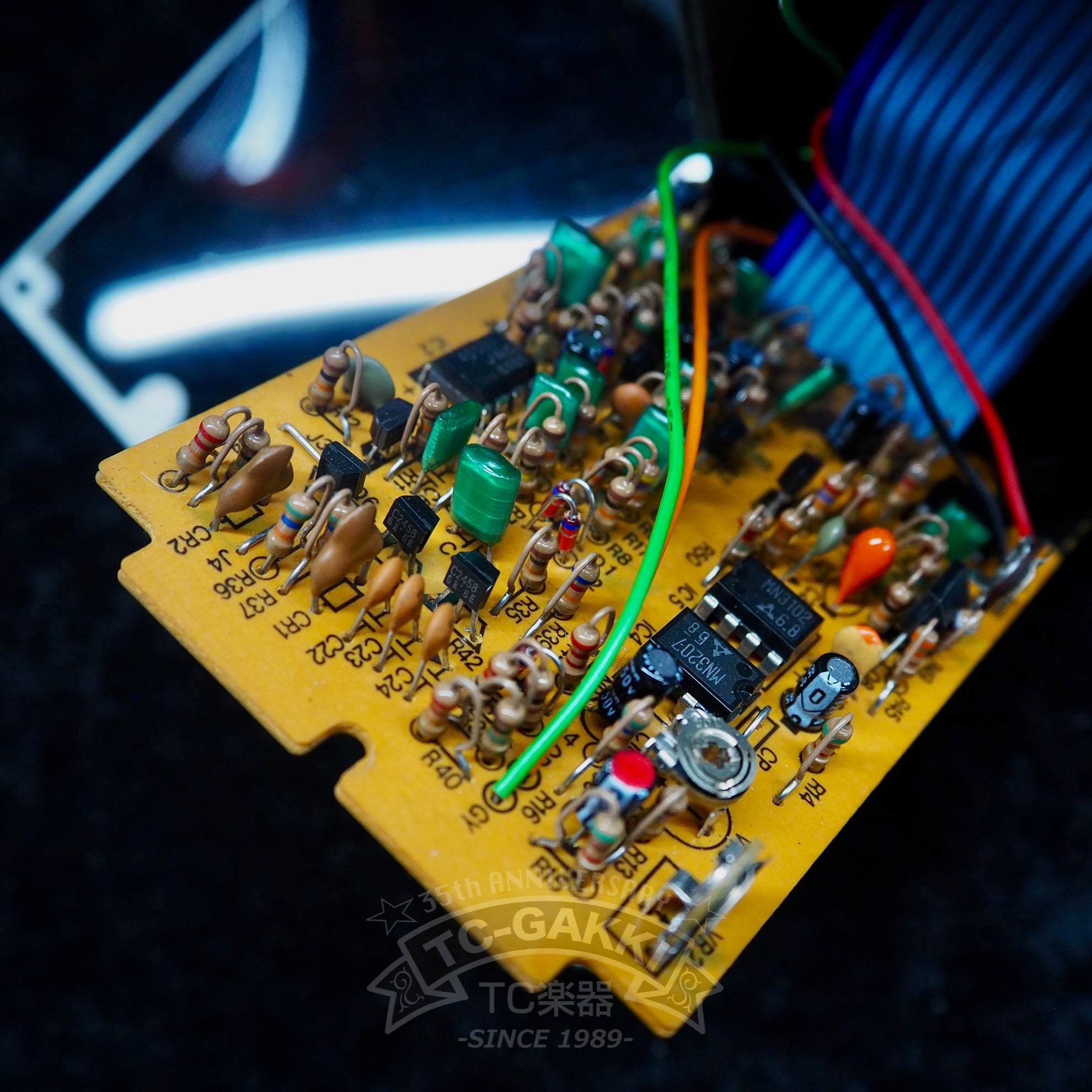 SF10 SWELL FLANGER - TC楽器 - TCGAKKI