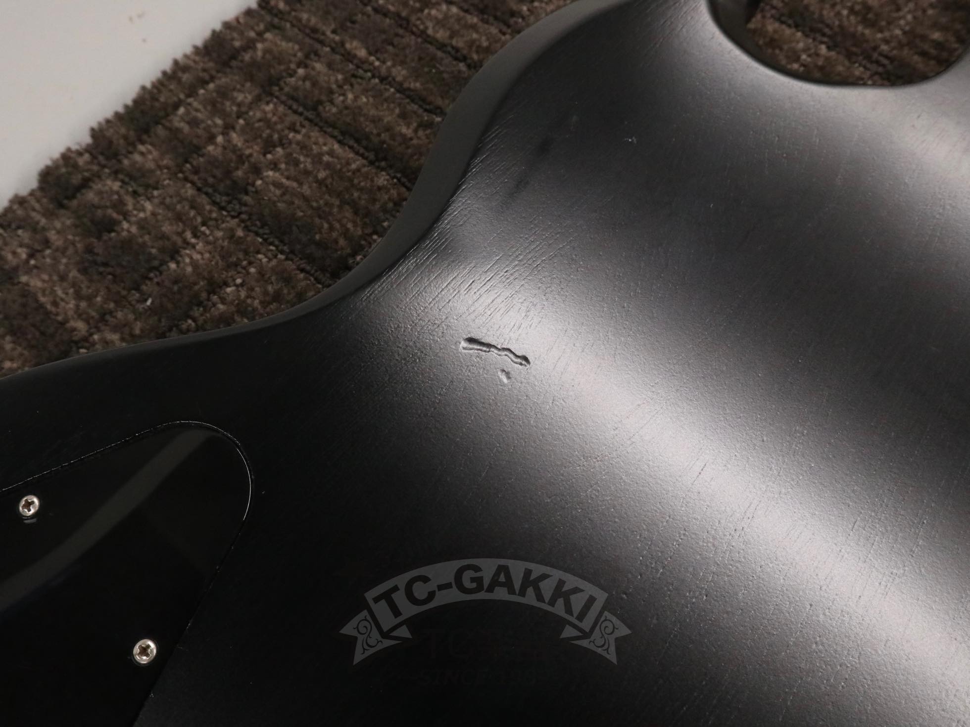 SG Special 2014 - TC楽器 - TCGAKKI