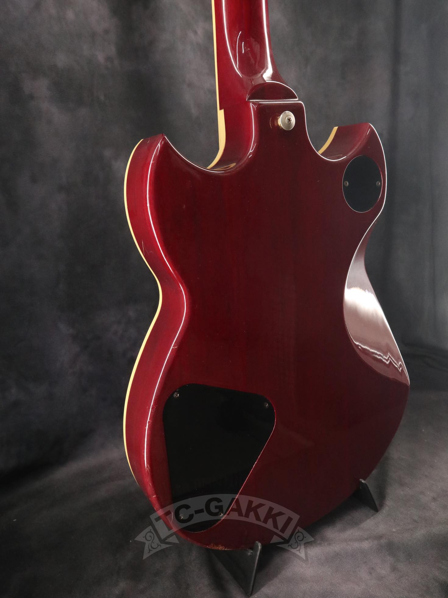 SG1000 - TC楽器 - TCGAKKI