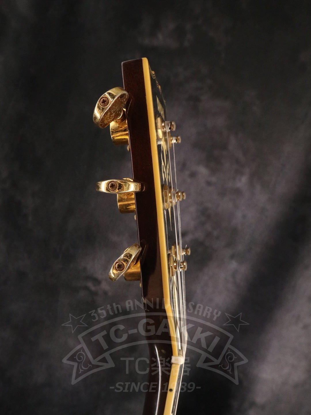 SG1000 - TC楽器 - TCGAKKI