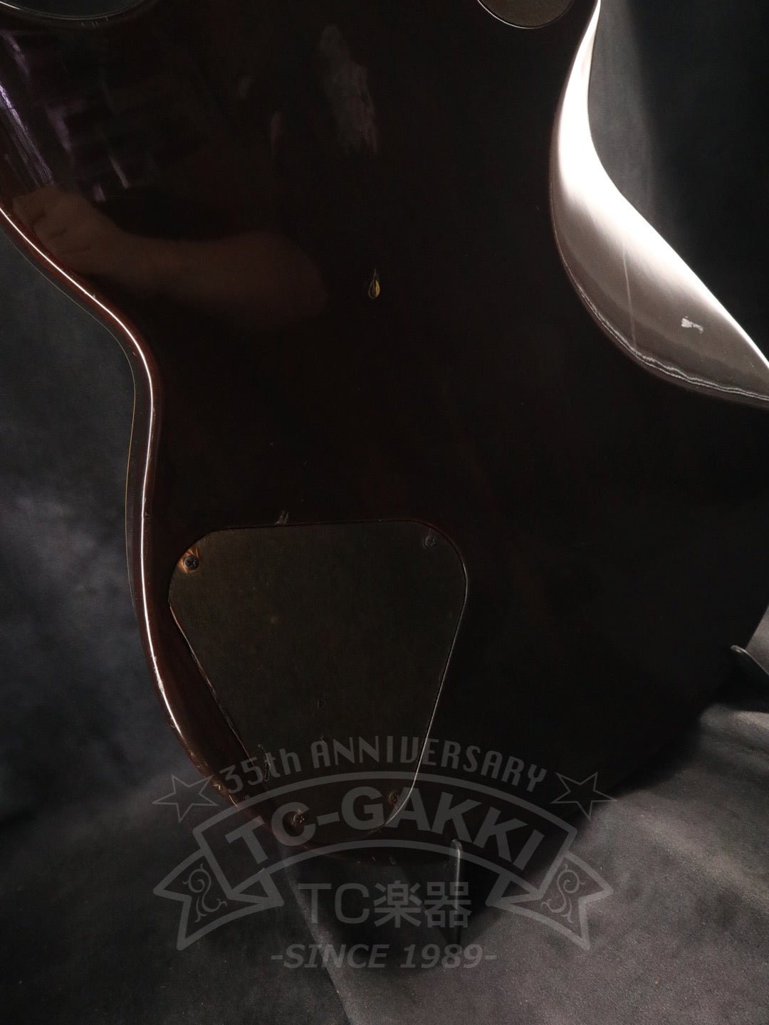 SG1000 - TC楽器 - TCGAKKI