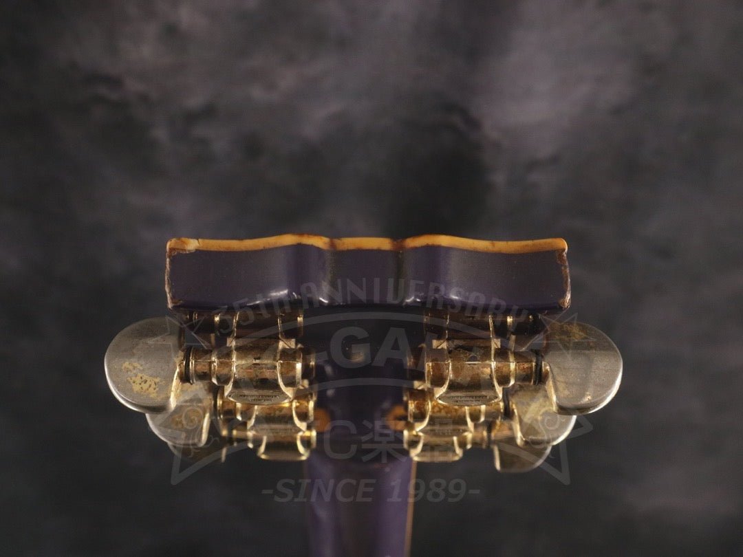 SG2000DP - TC楽器 - TCGAKKI