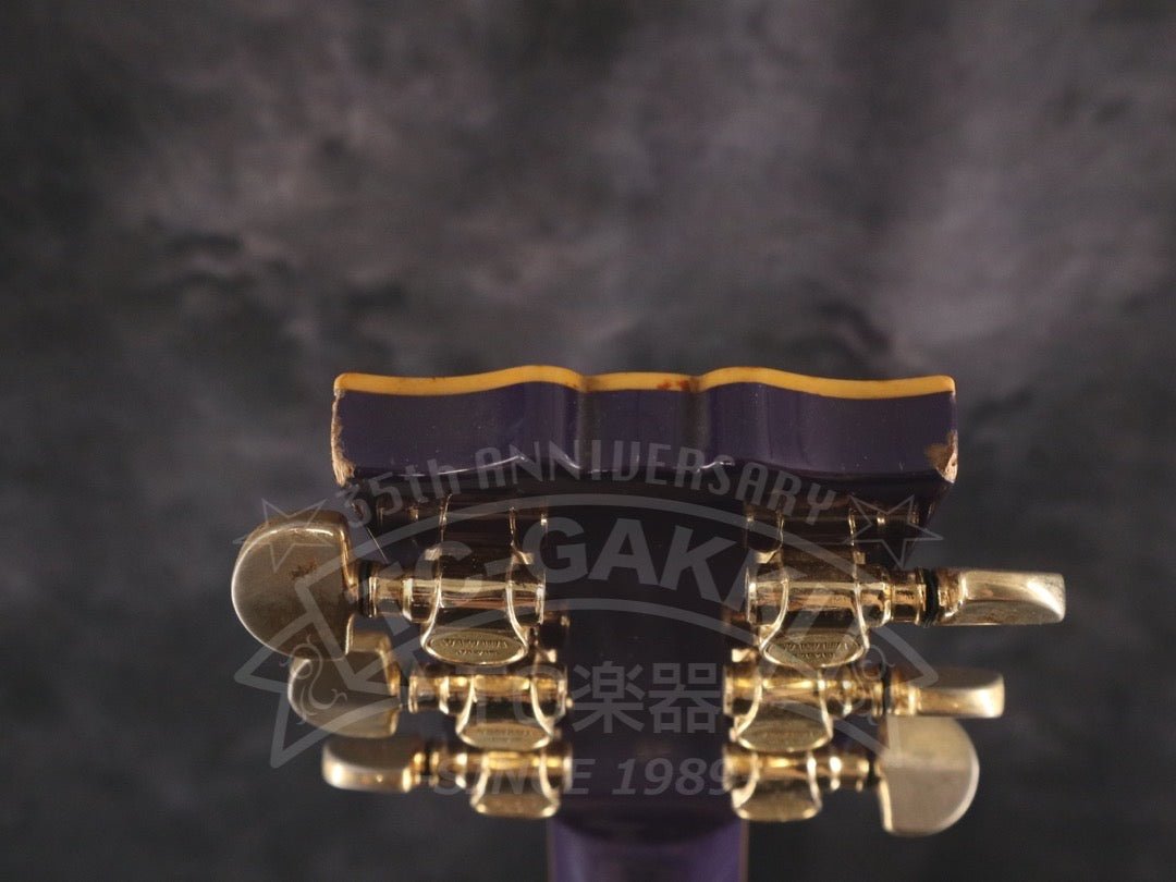 SG2000DP - TC楽器 - TCGAKKI