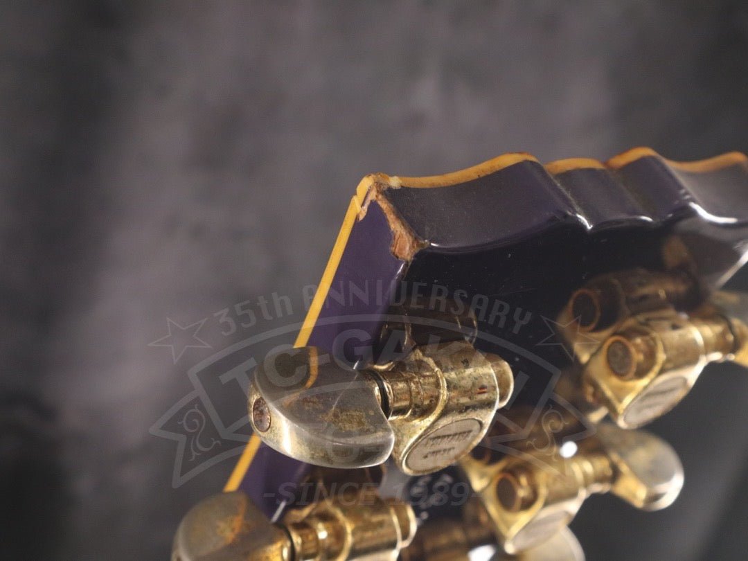 SG2000DP - TC楽器 - TCGAKKI