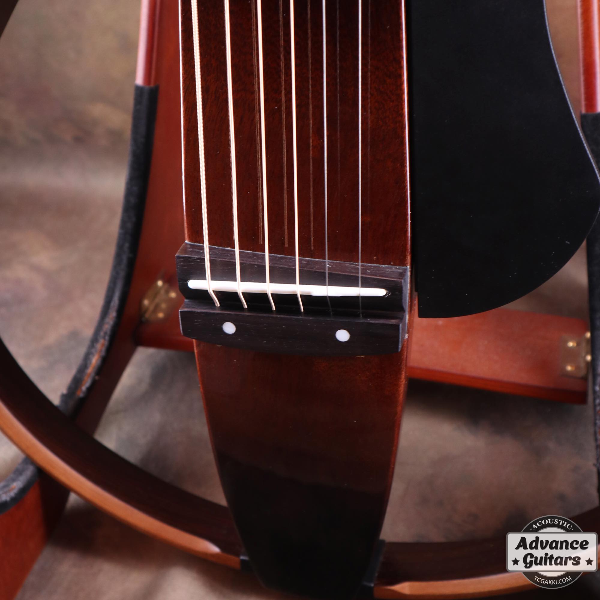 SLG200S - TC楽器 - TCGAKKI