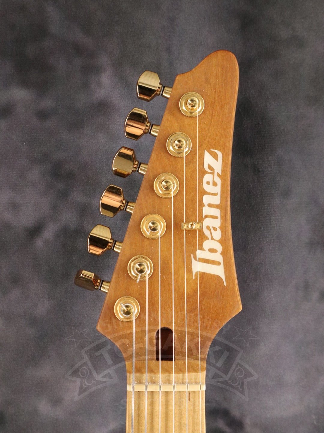 SLM10 - TC楽器 - TCGAKKI