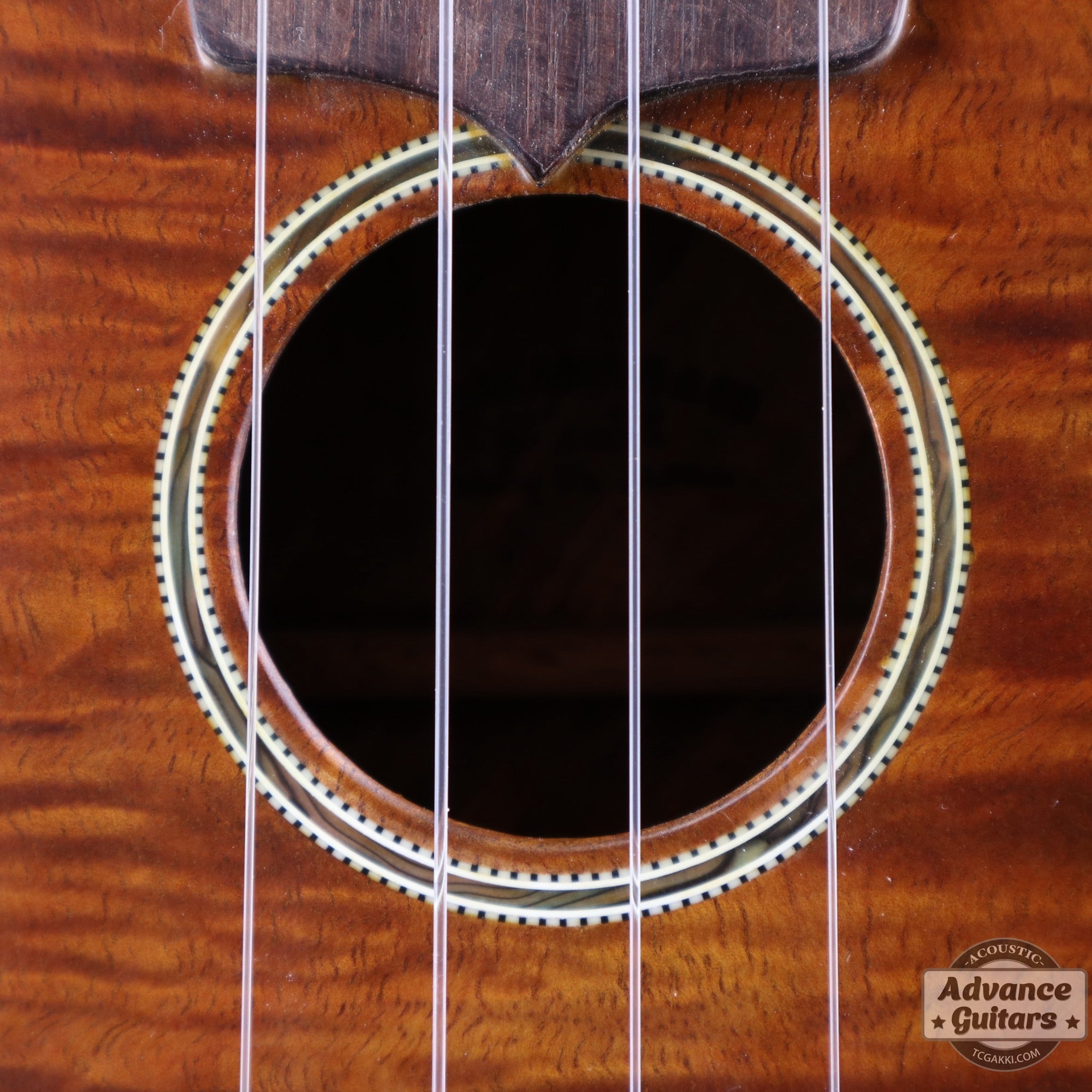 Soprano Koa - TC楽器 - TCGAKKI