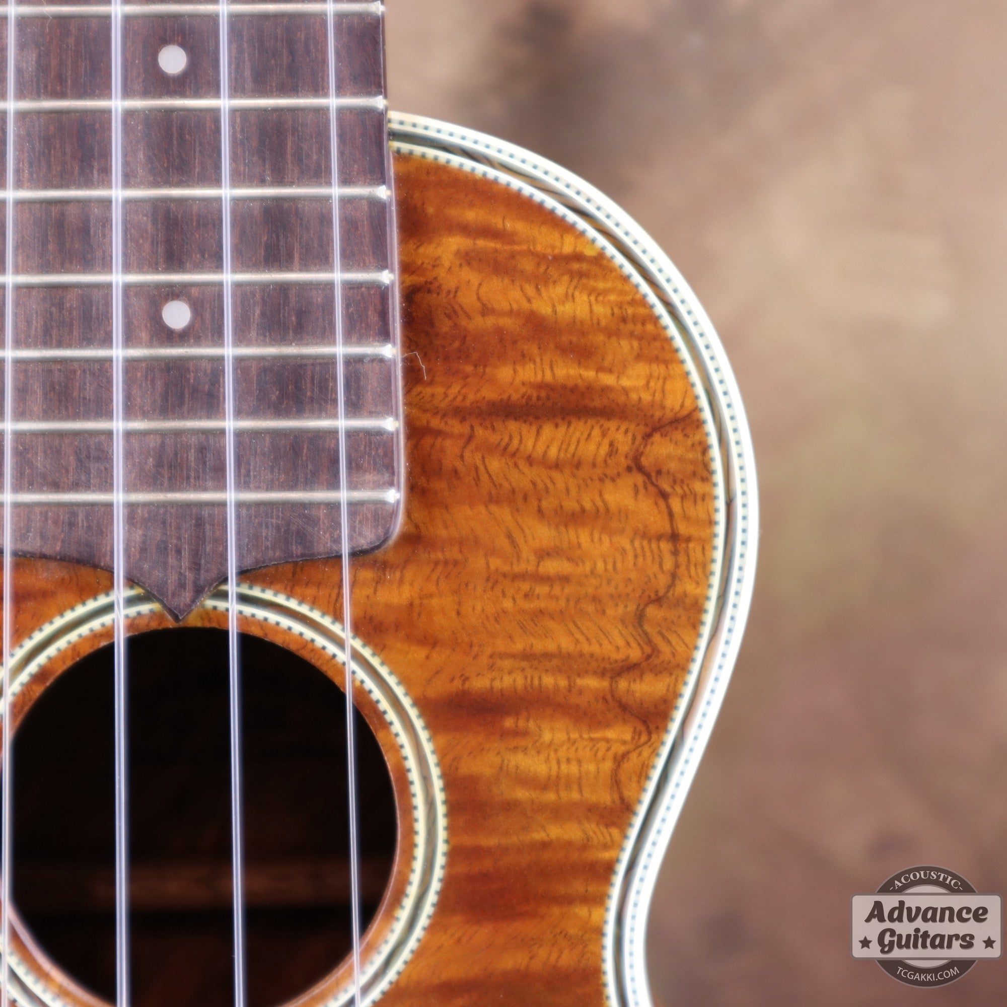 Soprano Koa - TC楽器 - TCGAKKI