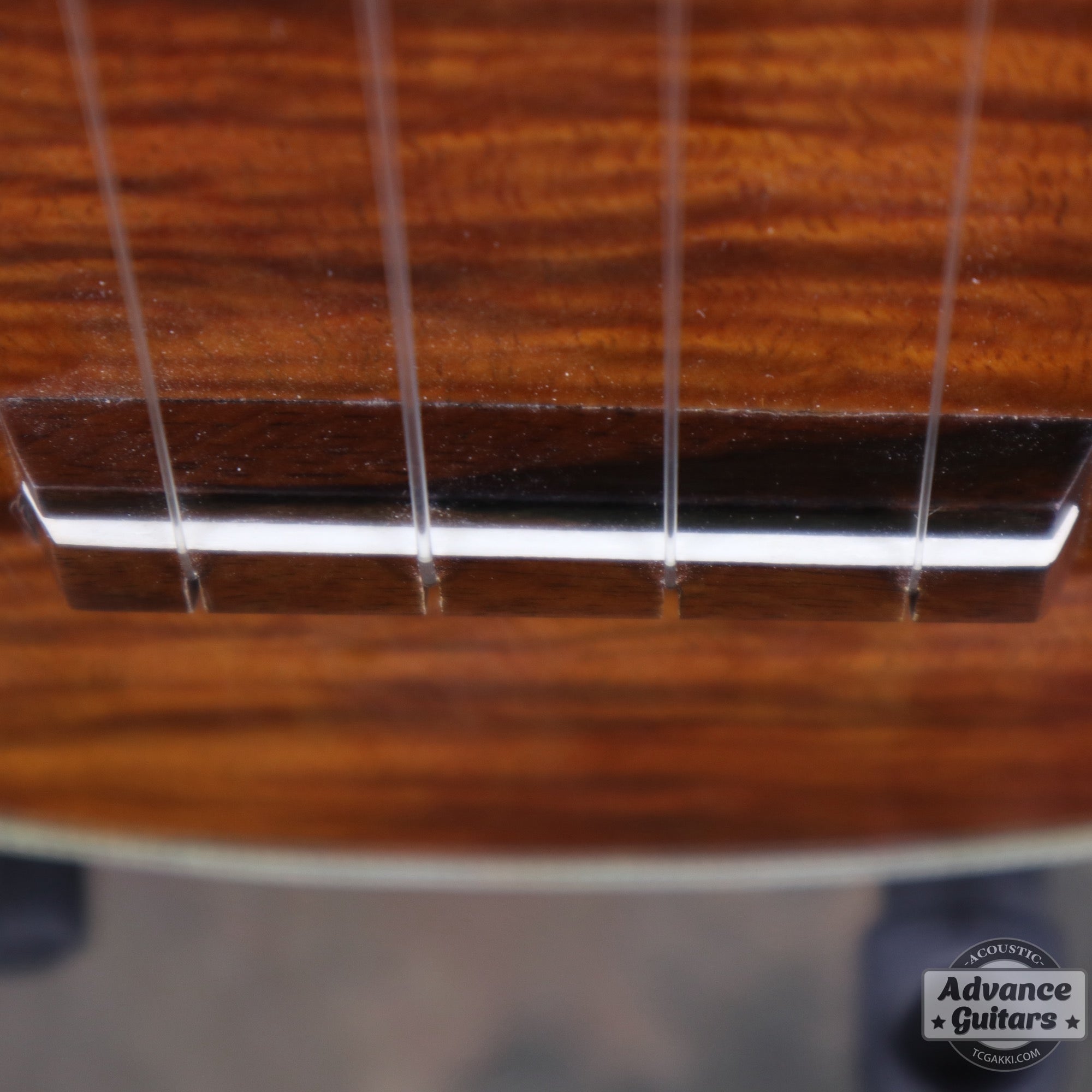 Soprano Koa - TC楽器 - TCGAKKI