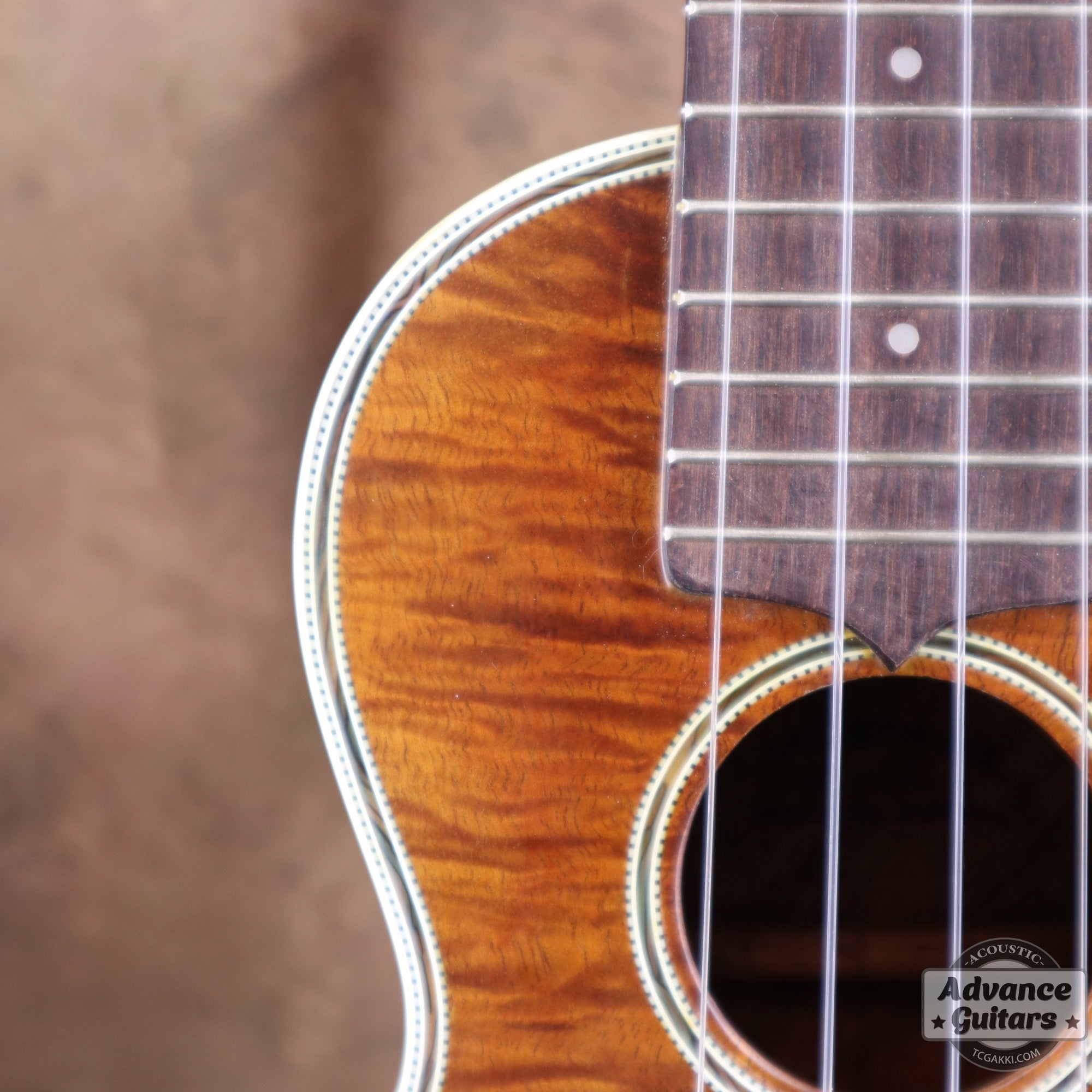 Soprano Koa - TC楽器 - TCGAKKI