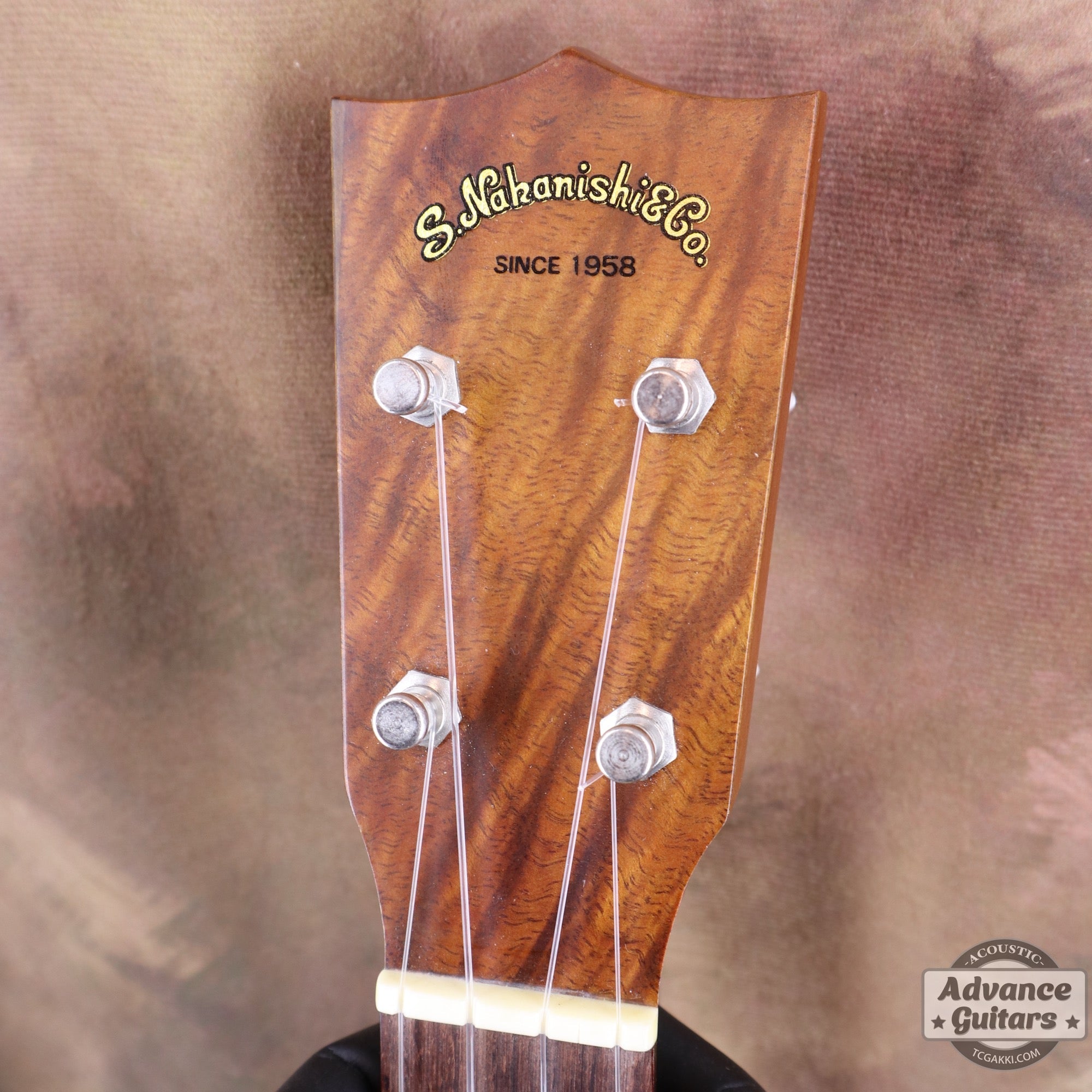 Soprano Koa - TC楽器 - TCGAKKI