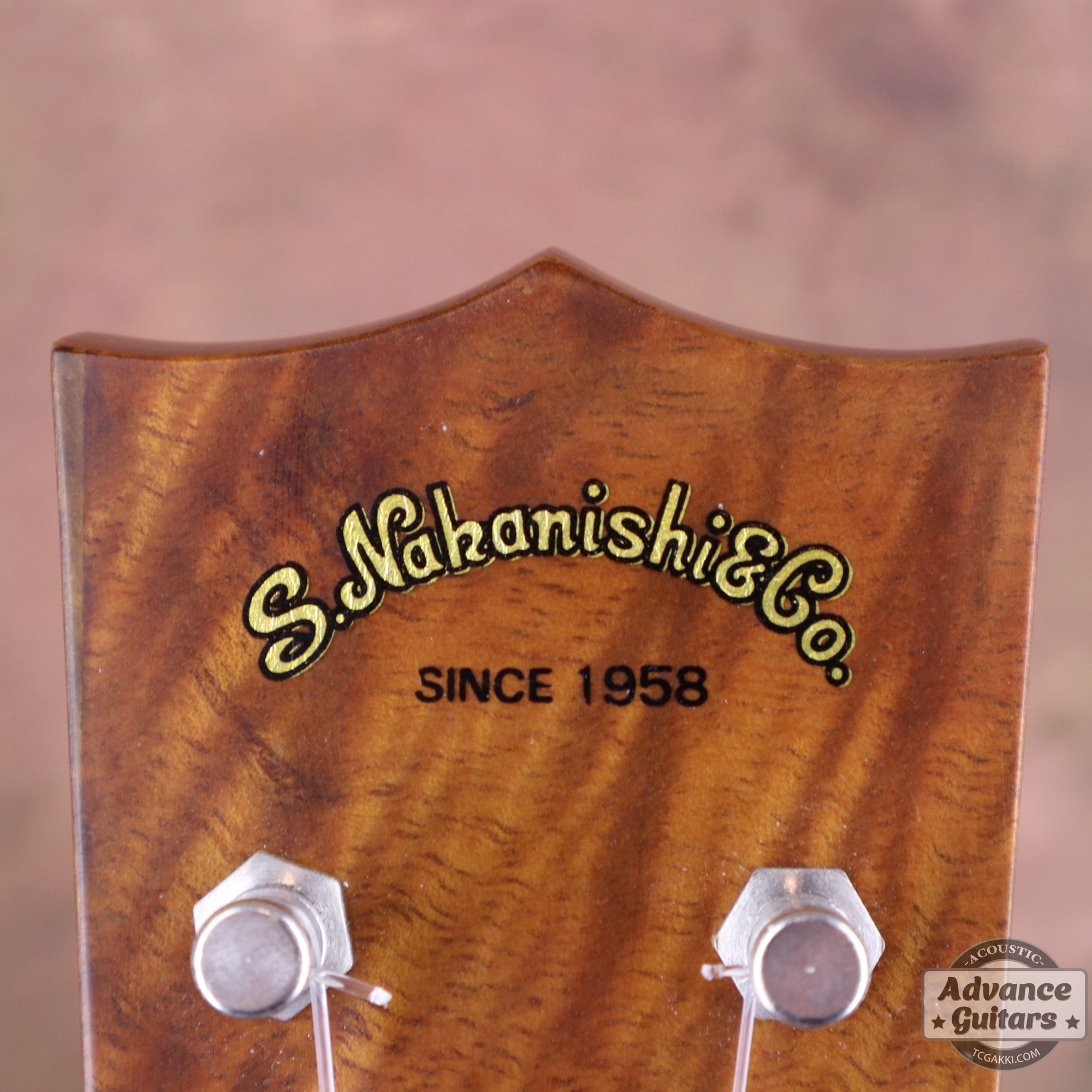 Soprano Koa - TC楽器 - TCGAKKI