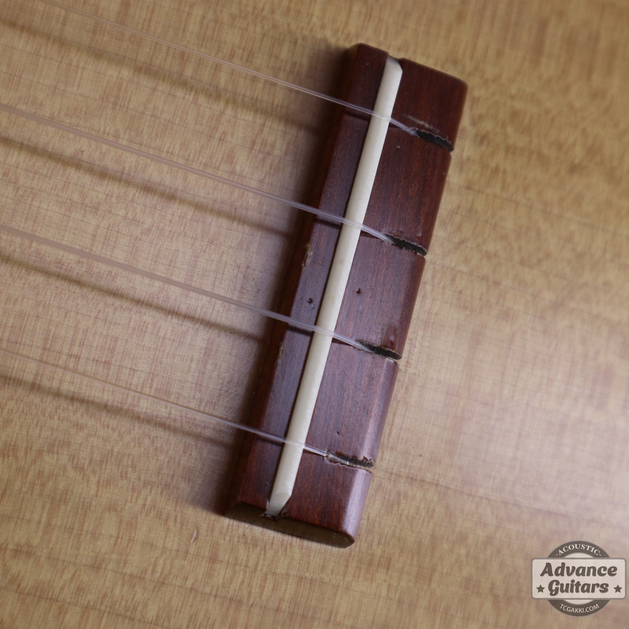 Soprano Ukulele - TC楽器 - TCGAKKI