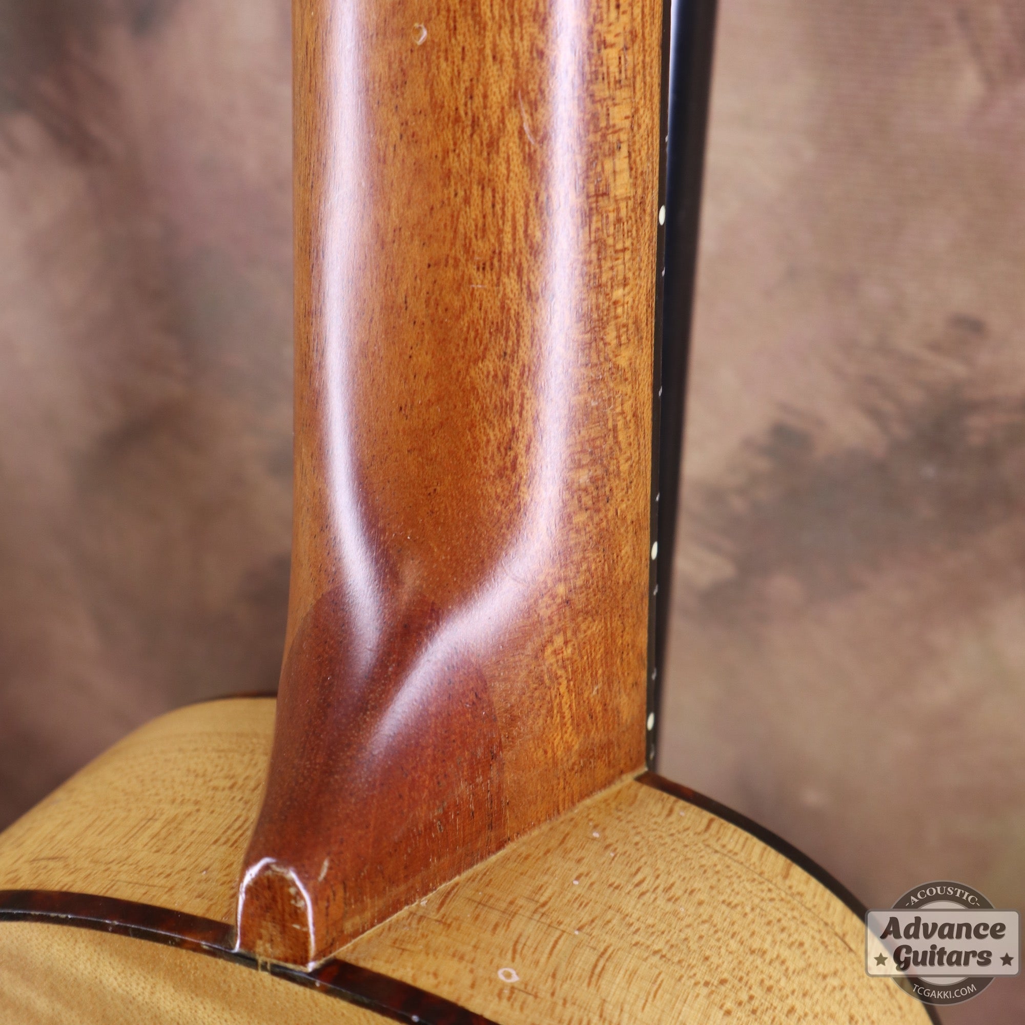 Soprano Ukulele - TC楽器 - TCGAKKI