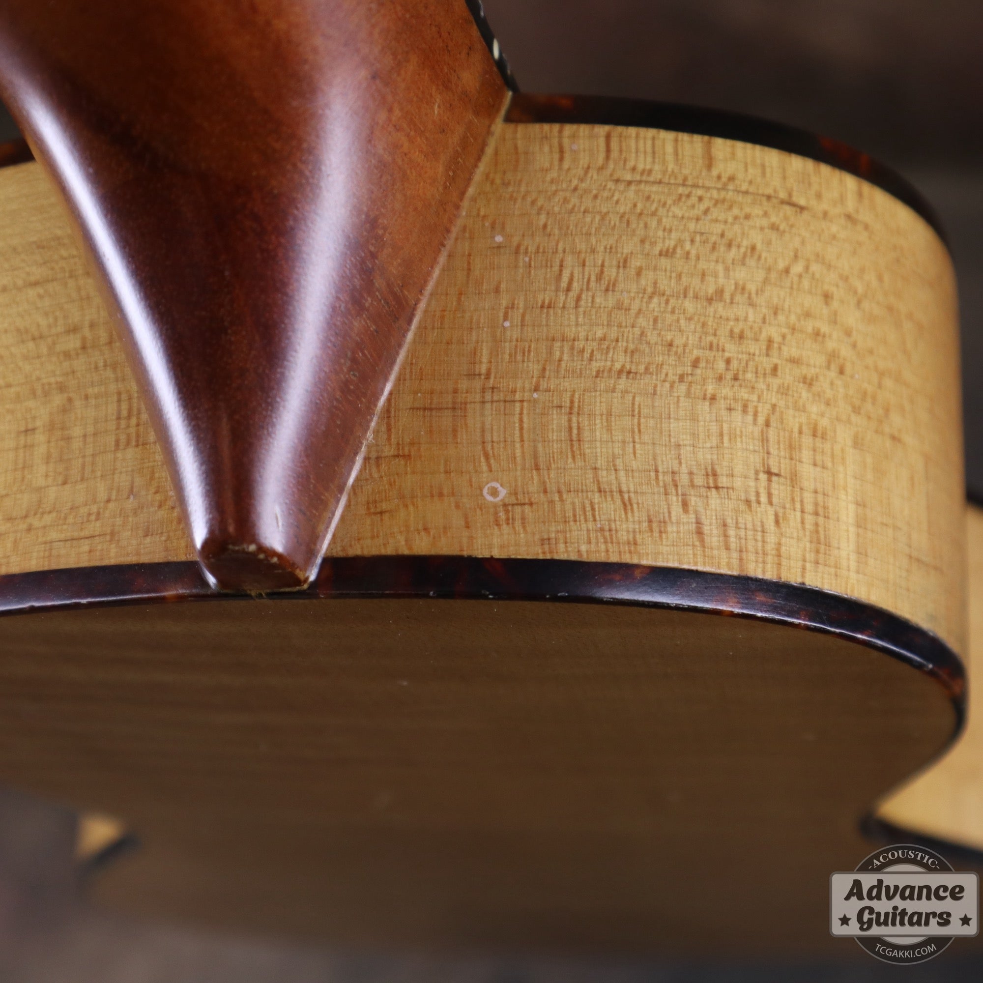 Soprano Ukulele - TC楽器 - TCGAKKI