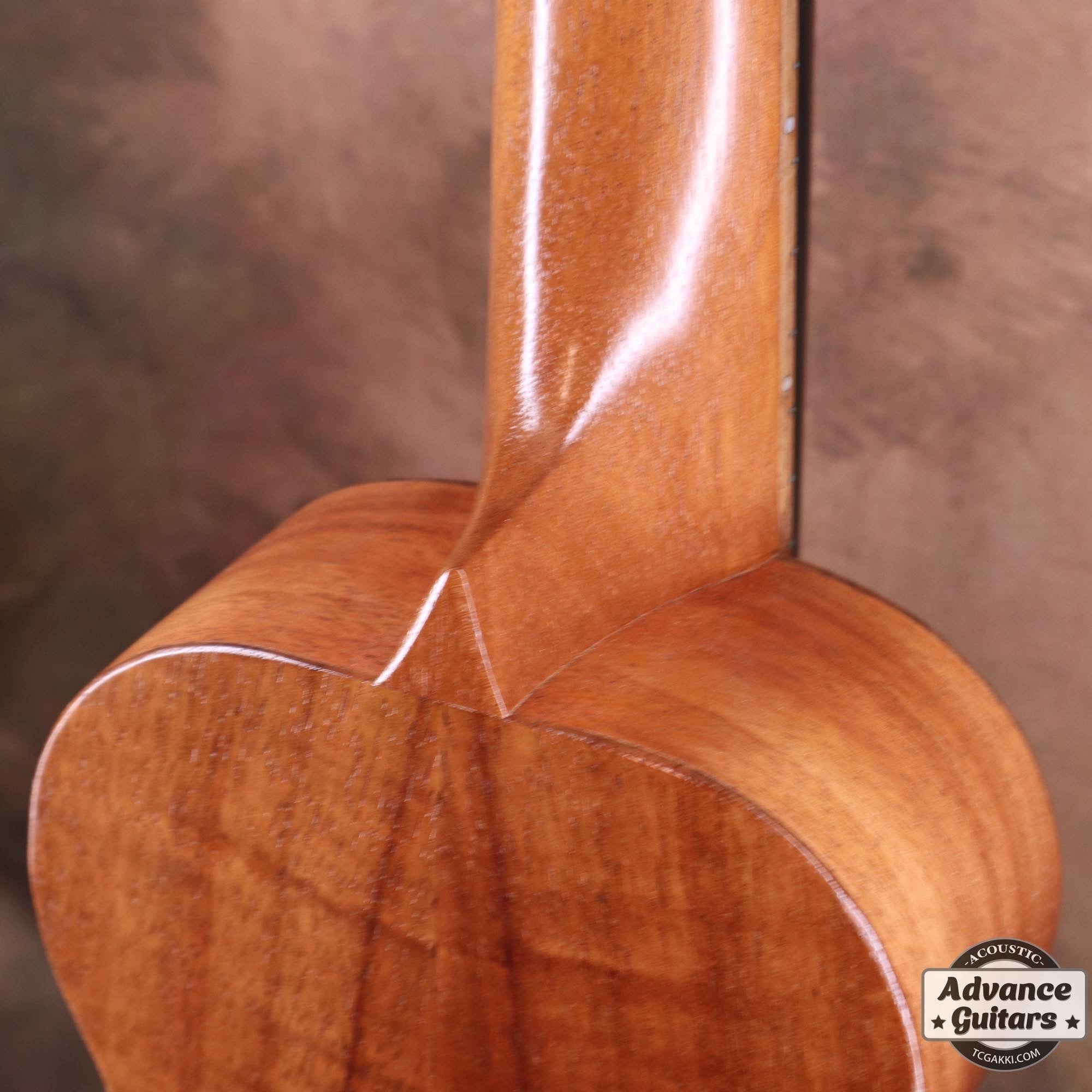 Soprano Ukulele - TC楽器 - TCGAKKI