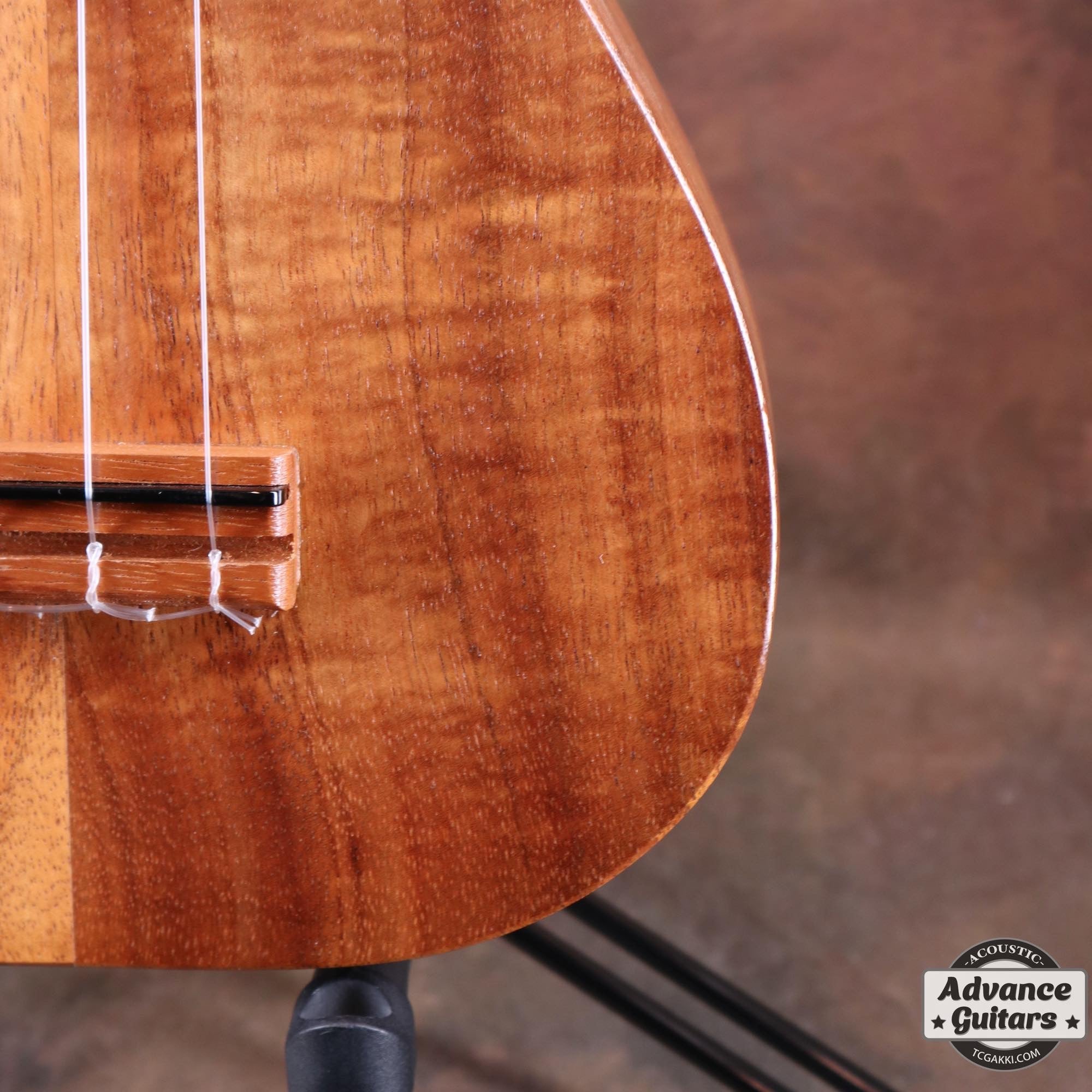 Soprano Ukulele - TC楽器 - TCGAKKI