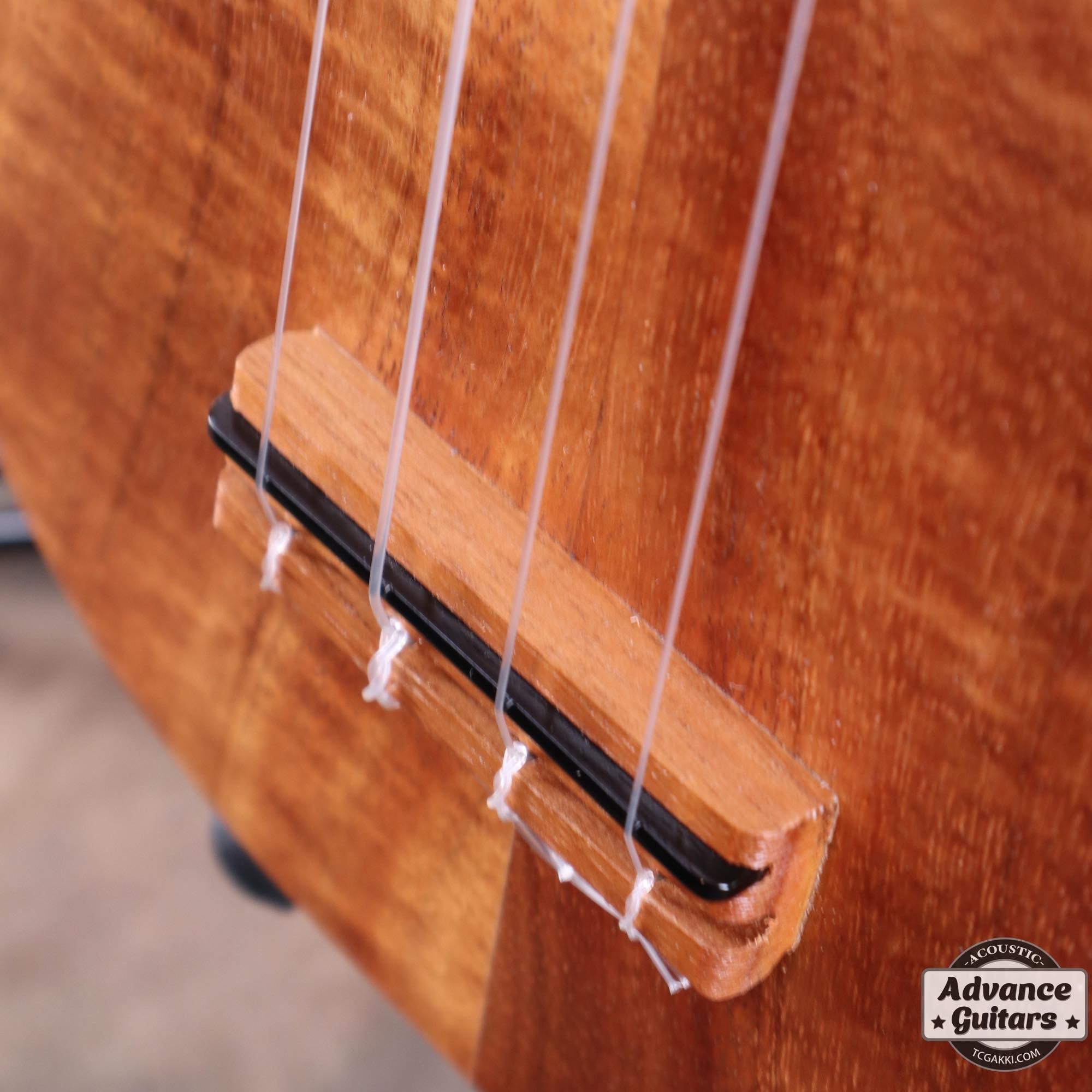 Soprano Ukulele - TC楽器 - TCGAKKI