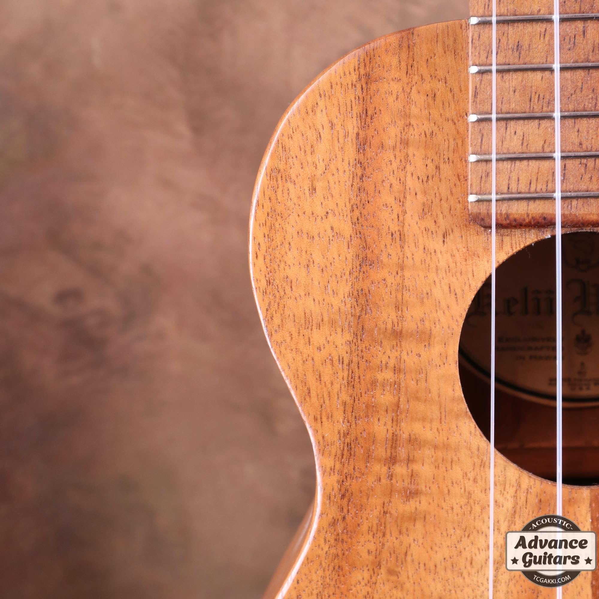 Soprano Ukulele - TC楽器 - TCGAKKI