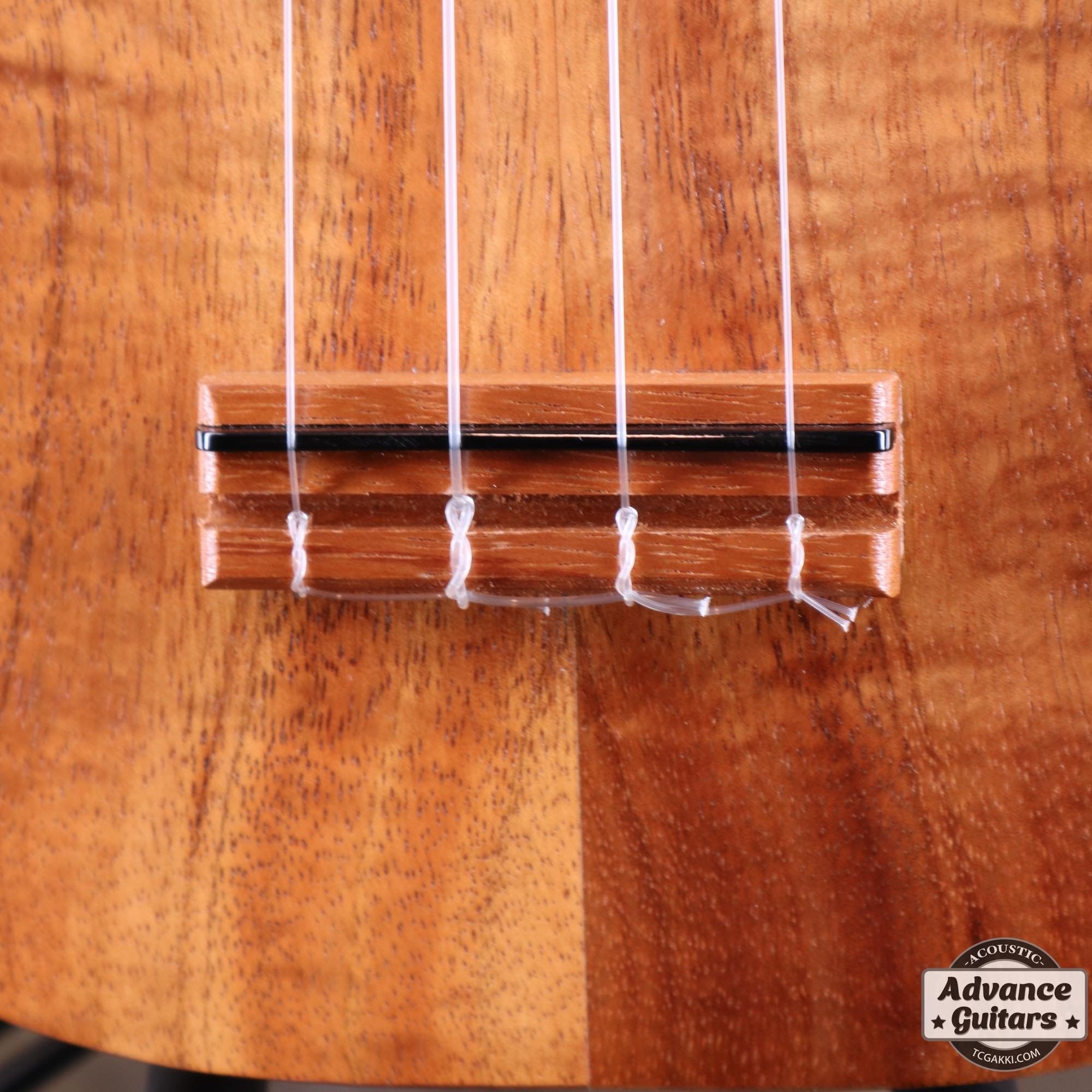 Soprano Ukulele - TC楽器 - TCGAKKI