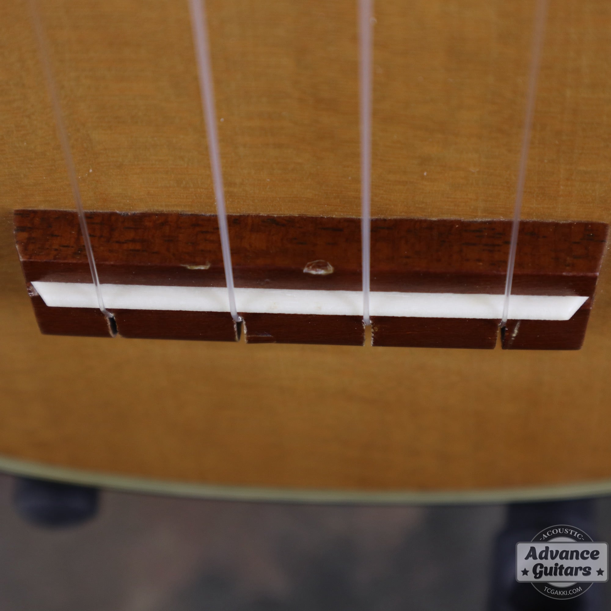 Soprano Ukulele - TC楽器 - TCGAKKI