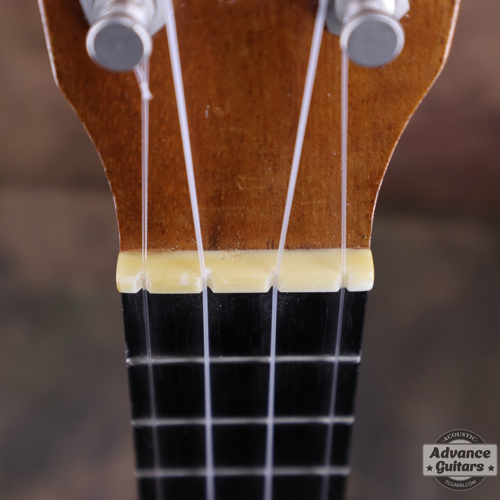 Soprano Ukulele - TC楽器 - TCGAKKI