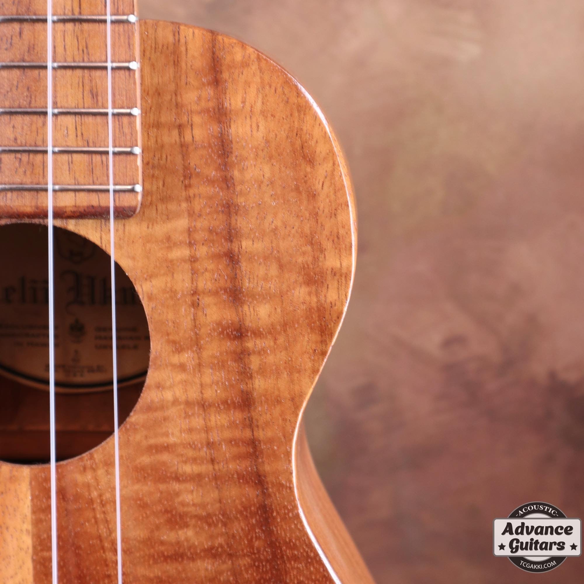 Soprano Ukulele - TC楽器 - TCGAKKI