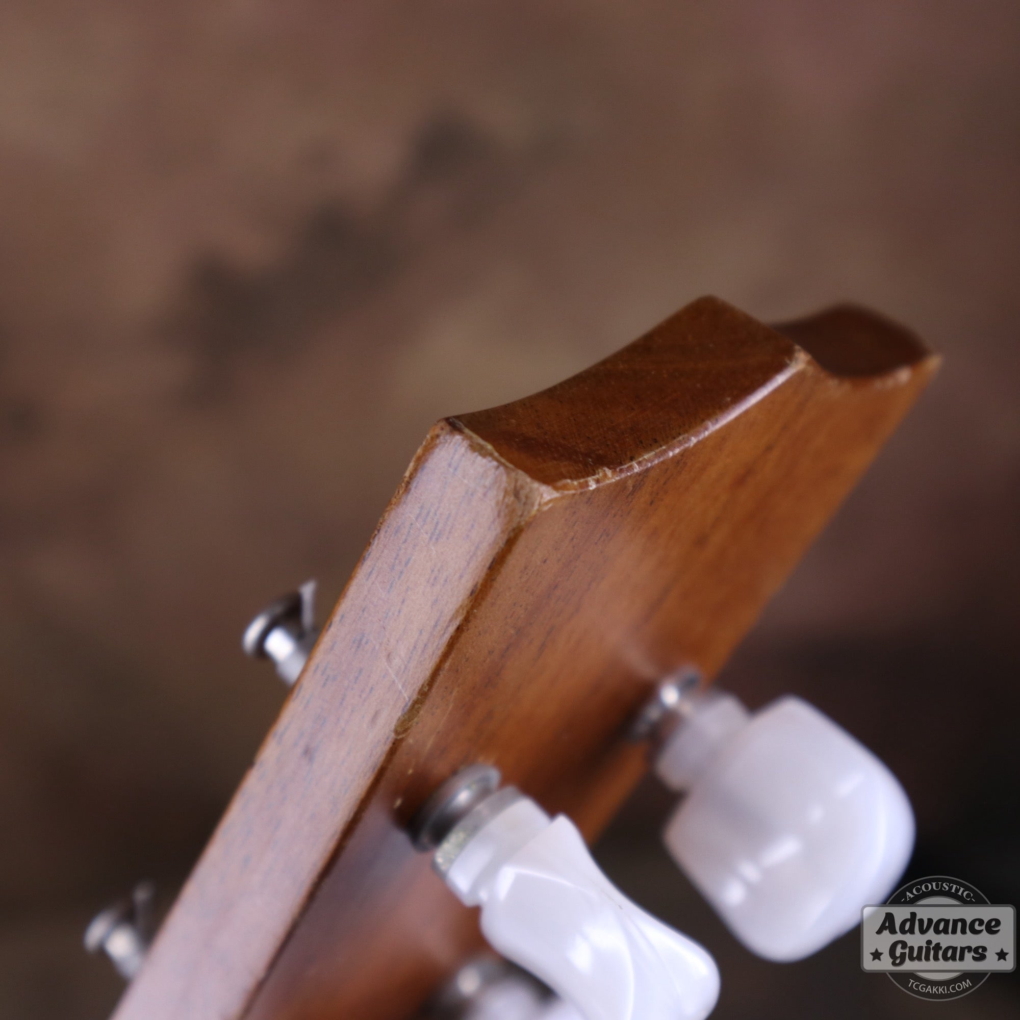 Soprano Ukulele - TC楽器 - TCGAKKI