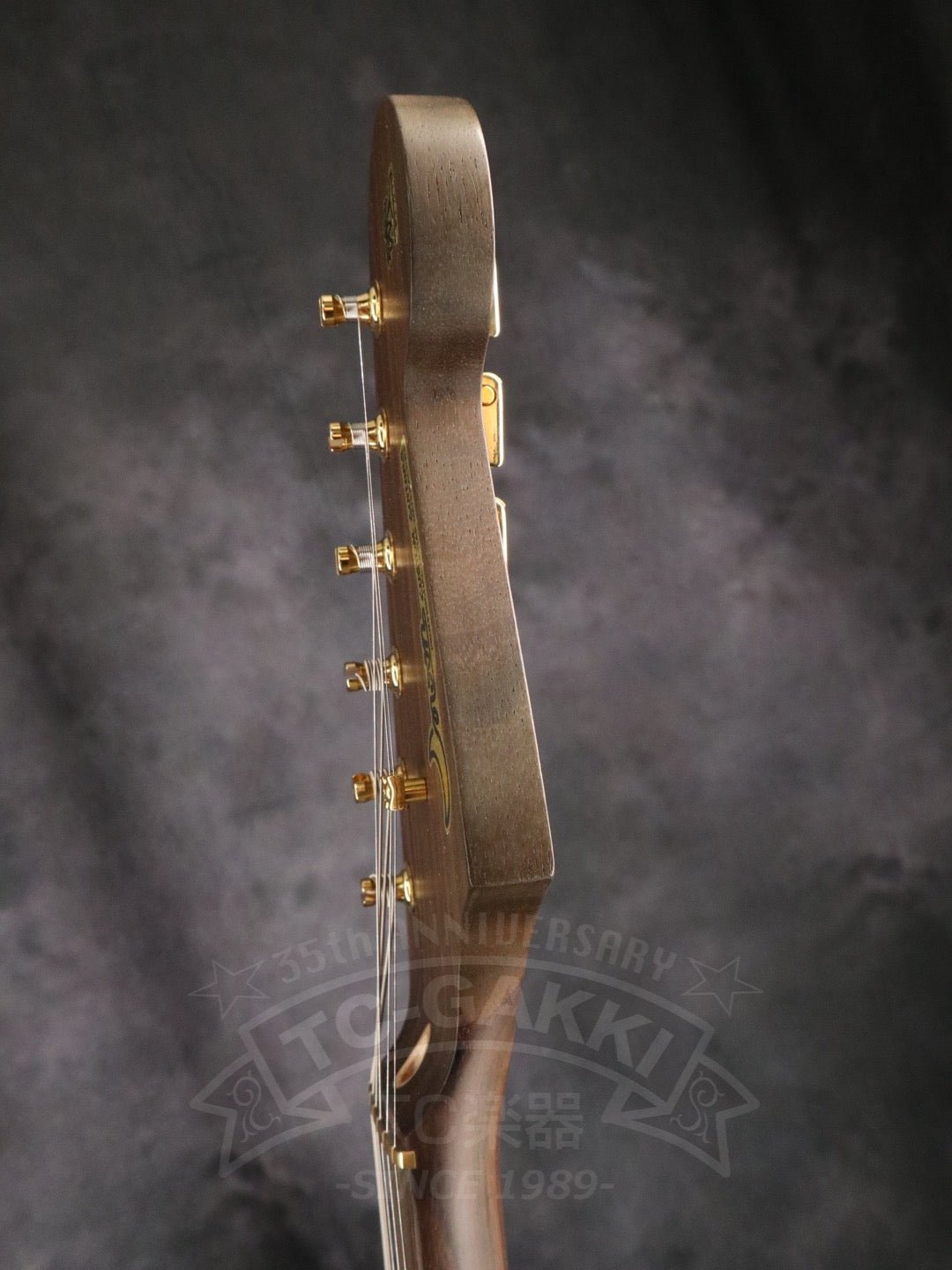 ST - C Rosewood Neck - TC楽器 - TCGAKKI