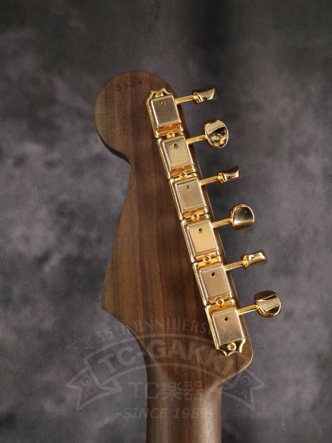 ST - C Rosewood Neck - TC楽器 - TCGAKKI