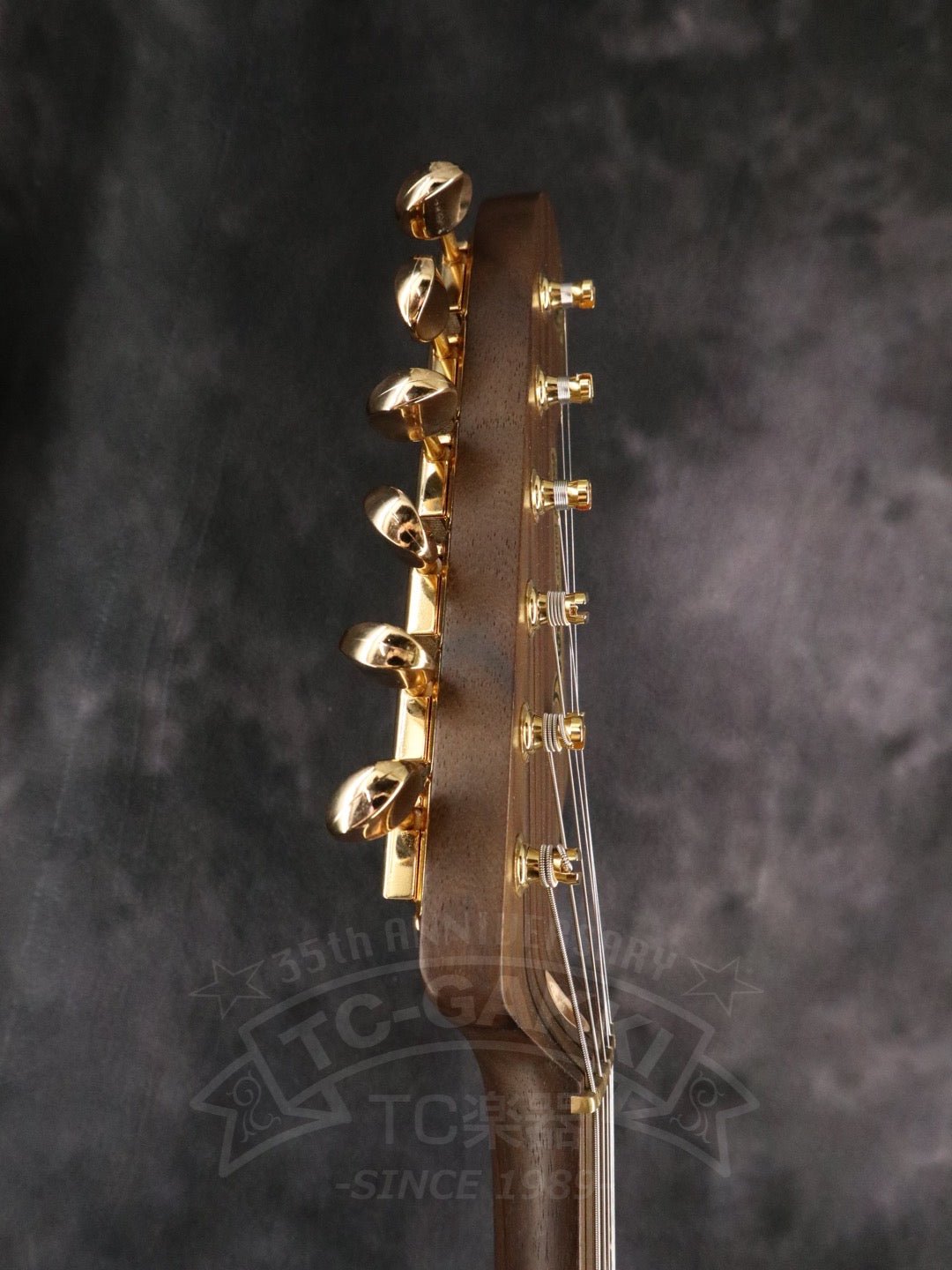 ST - C Rosewood Neck - TC楽器 - TCGAKKI