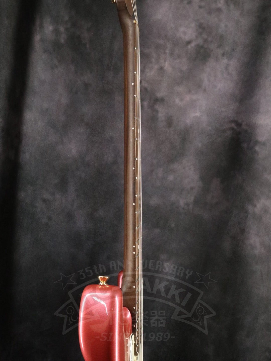 ST - C Rosewood Neck - TC楽器 - TCGAKKI