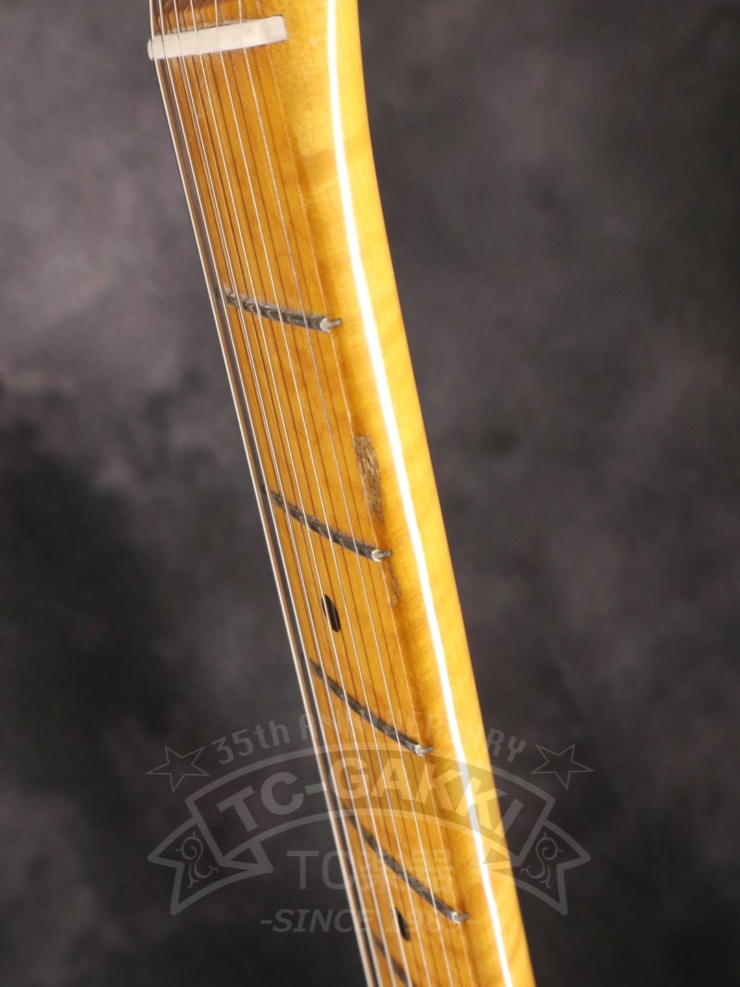 ST54 Order Model - TC楽器 - TCGAKKI