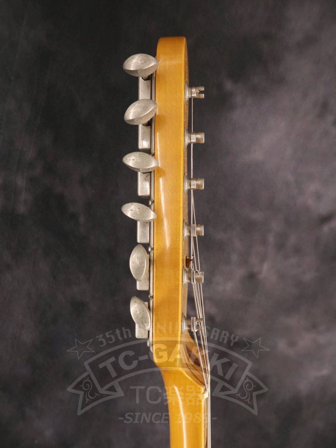 ST57 - US - TC楽器 - TCGAKKI