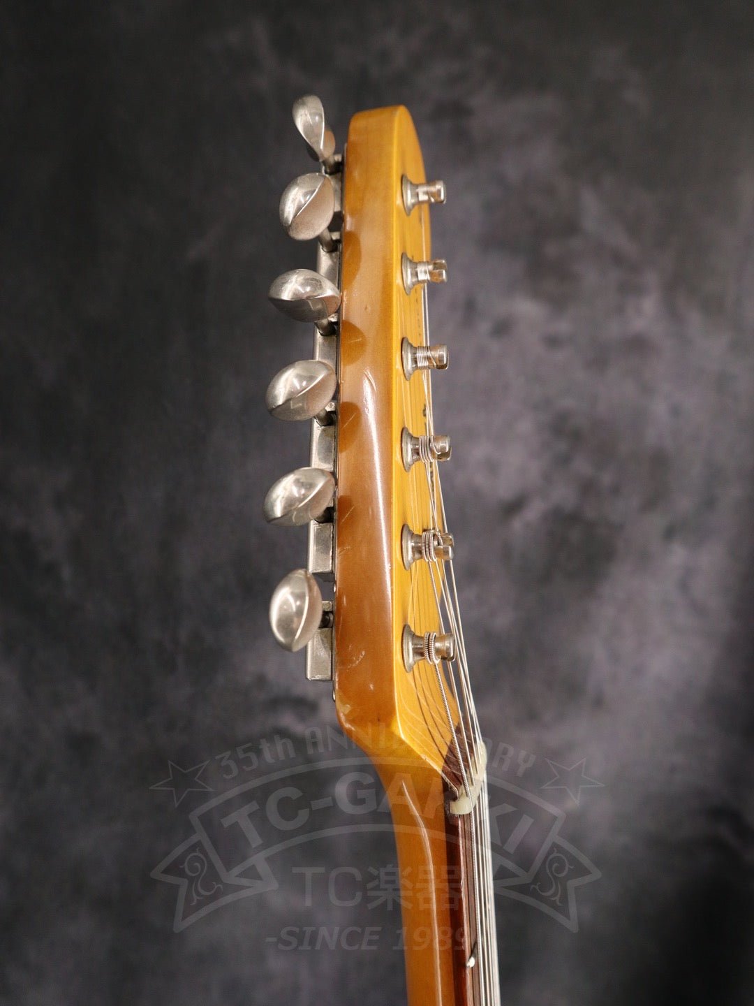 ST62 “JV Serial” - TC楽器 - TCGAKKI