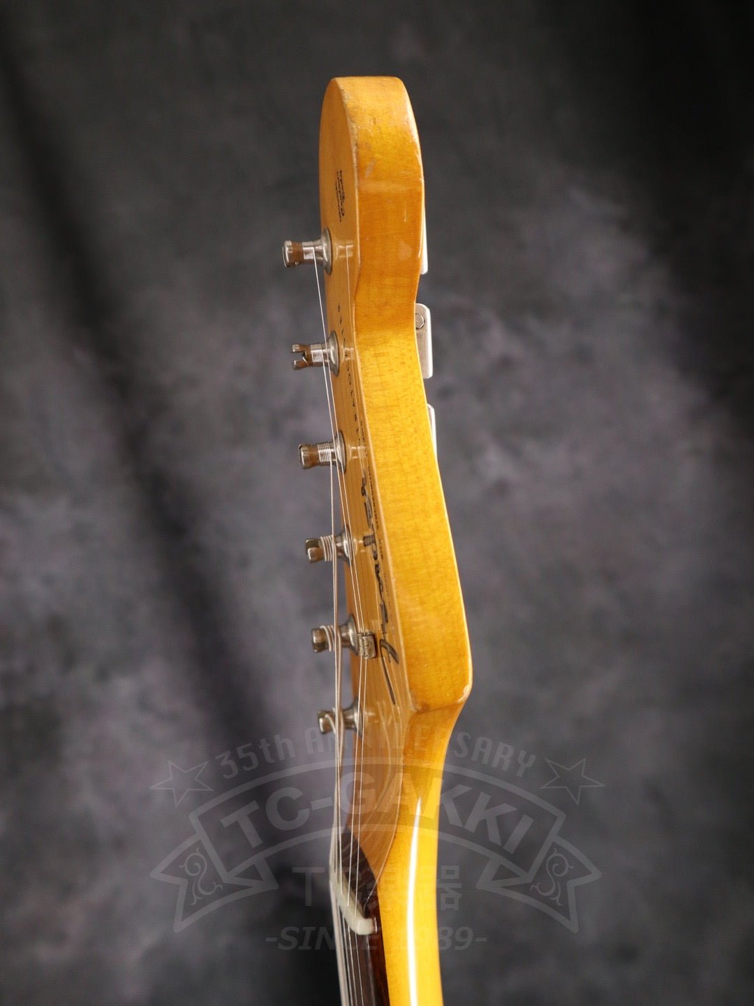 ST62 “JV Serial” - TC楽器 - TCGAKKI