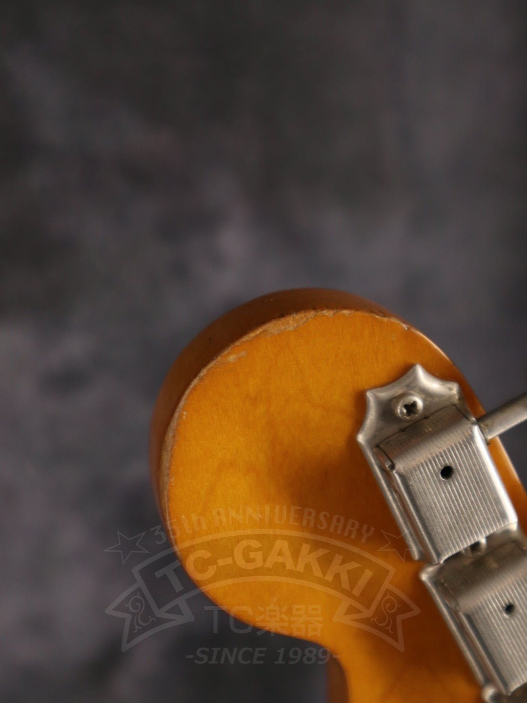 ST62 “JV Serial” - TC楽器 - TCGAKKI